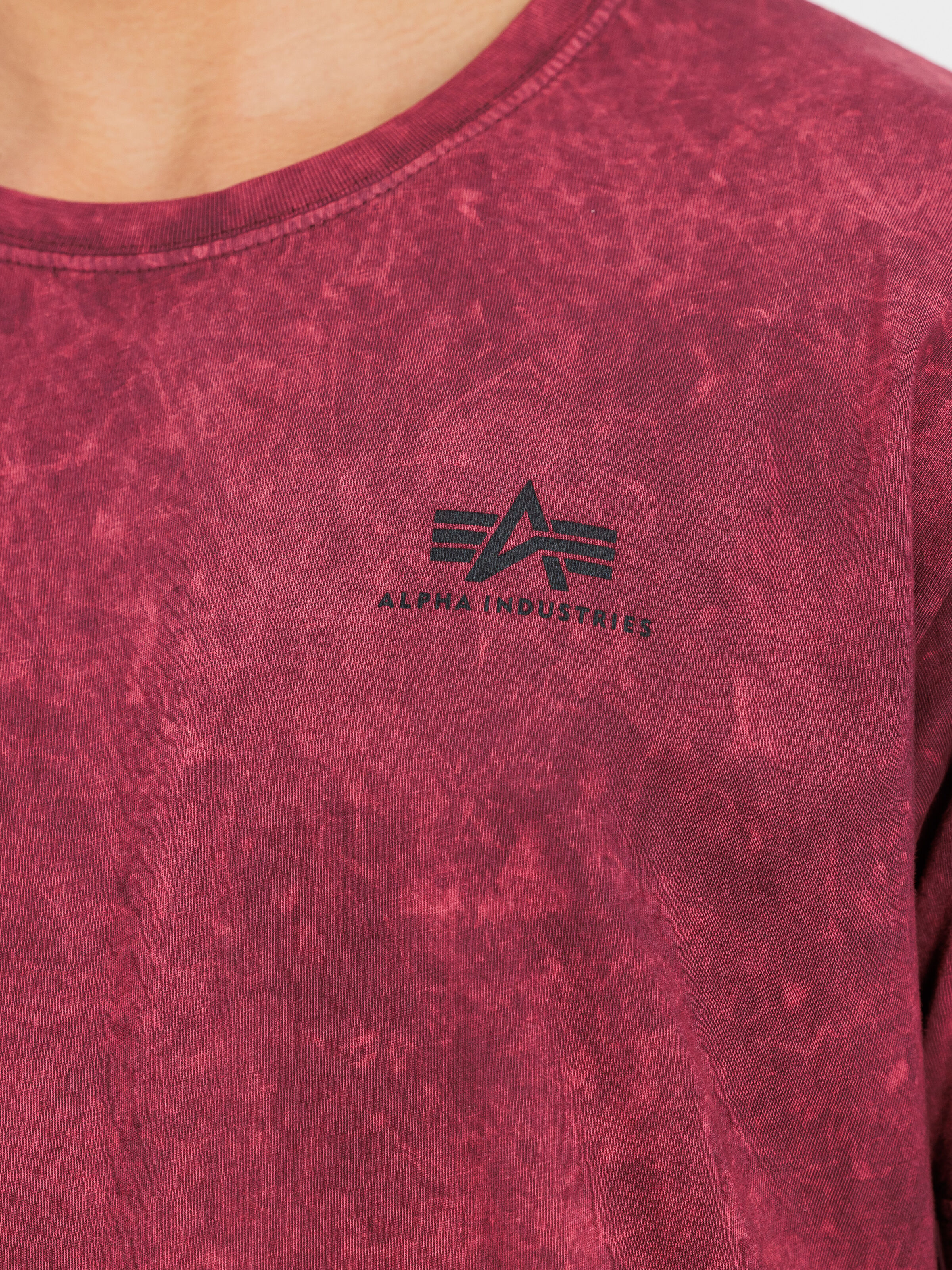 Vintage Backprint T-Shirt dark cherry 258508V_608_3_detail_00001_163375