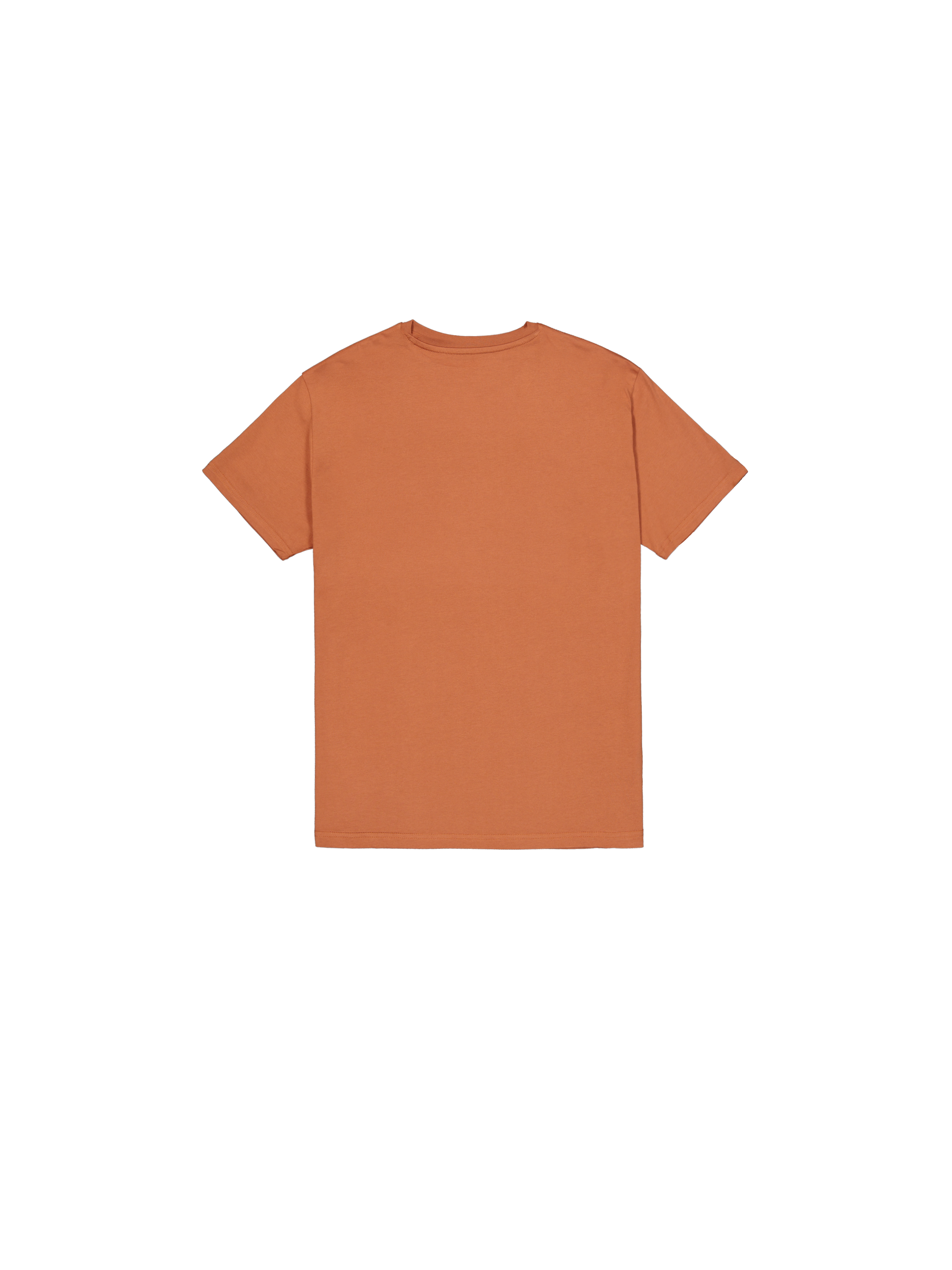 Basic Big Logo Rubber T-Shirt hazel brown 100501RB_709_1_flatlay_00002_223250