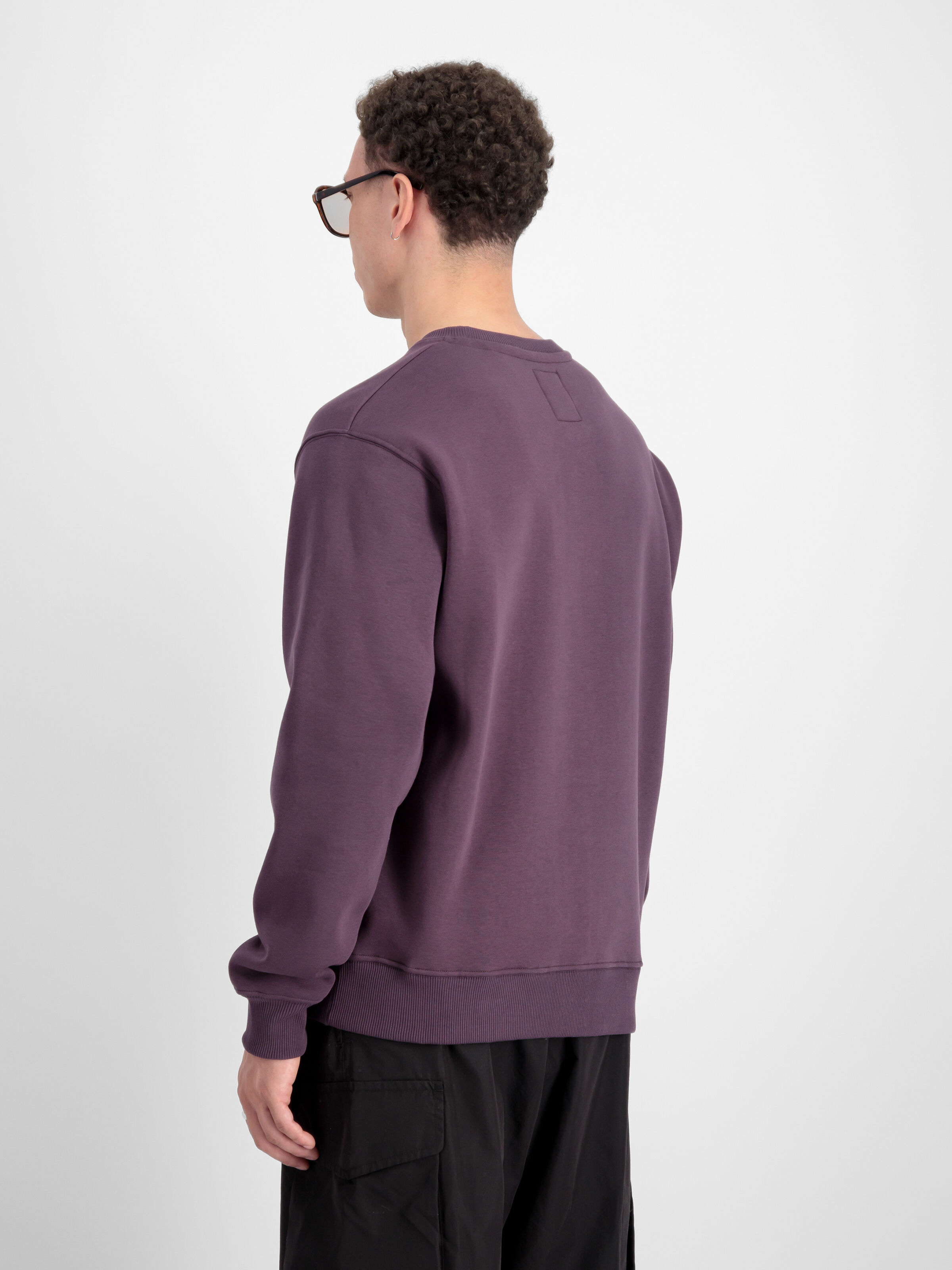 Basic Big Logo Sweatshirt Plum 178302_719_2_model_00004_97599