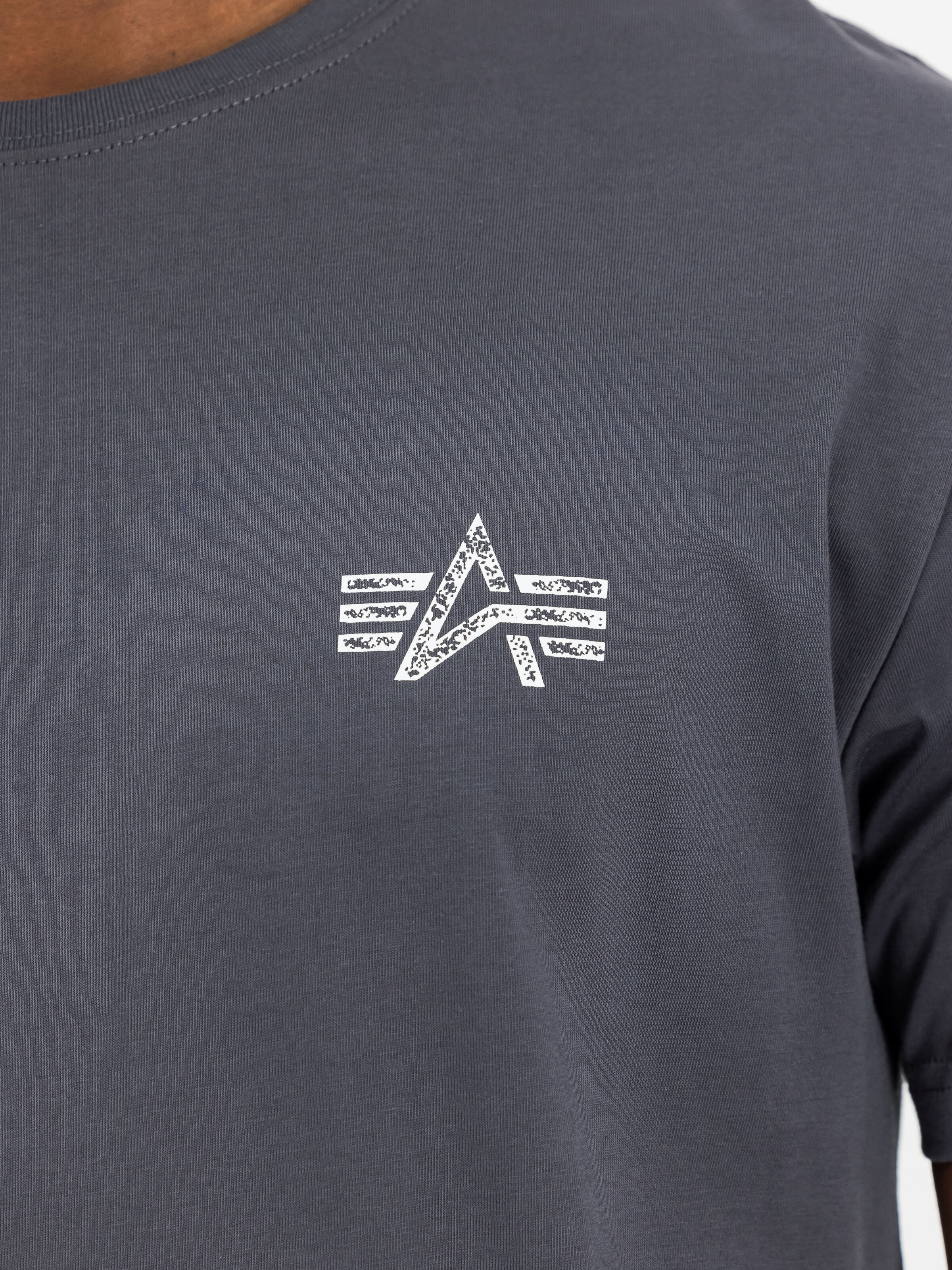 Signature Backprint T-Shirt vintage grey 148516_684_3_detail_00001_160360
