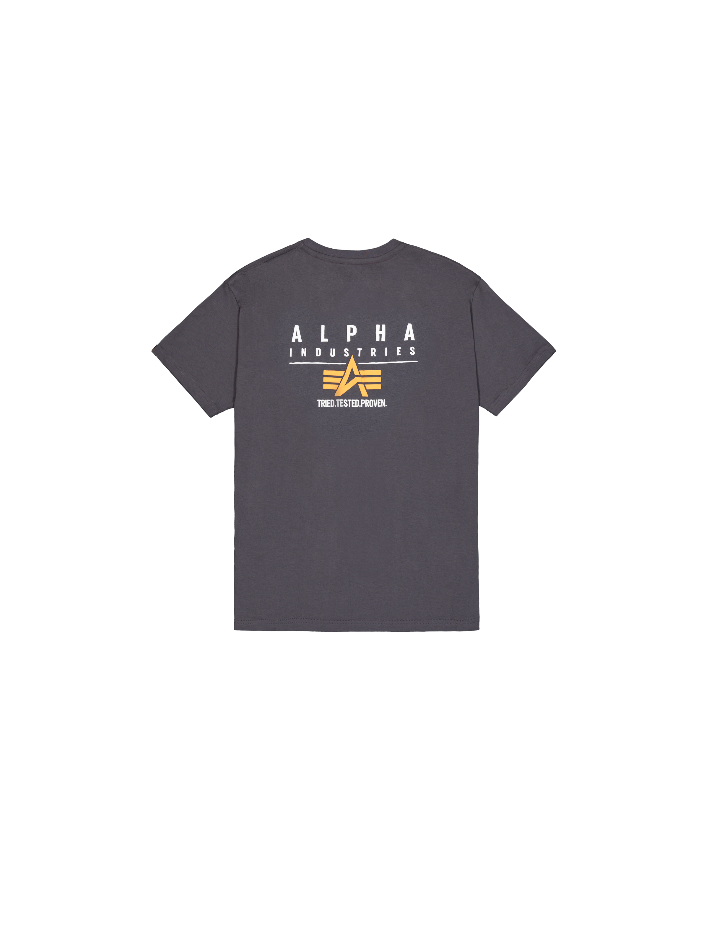 Puff Print Logo Backprint T-Shirt vintage grey 148521_684_1_flatlay_00002_160294
