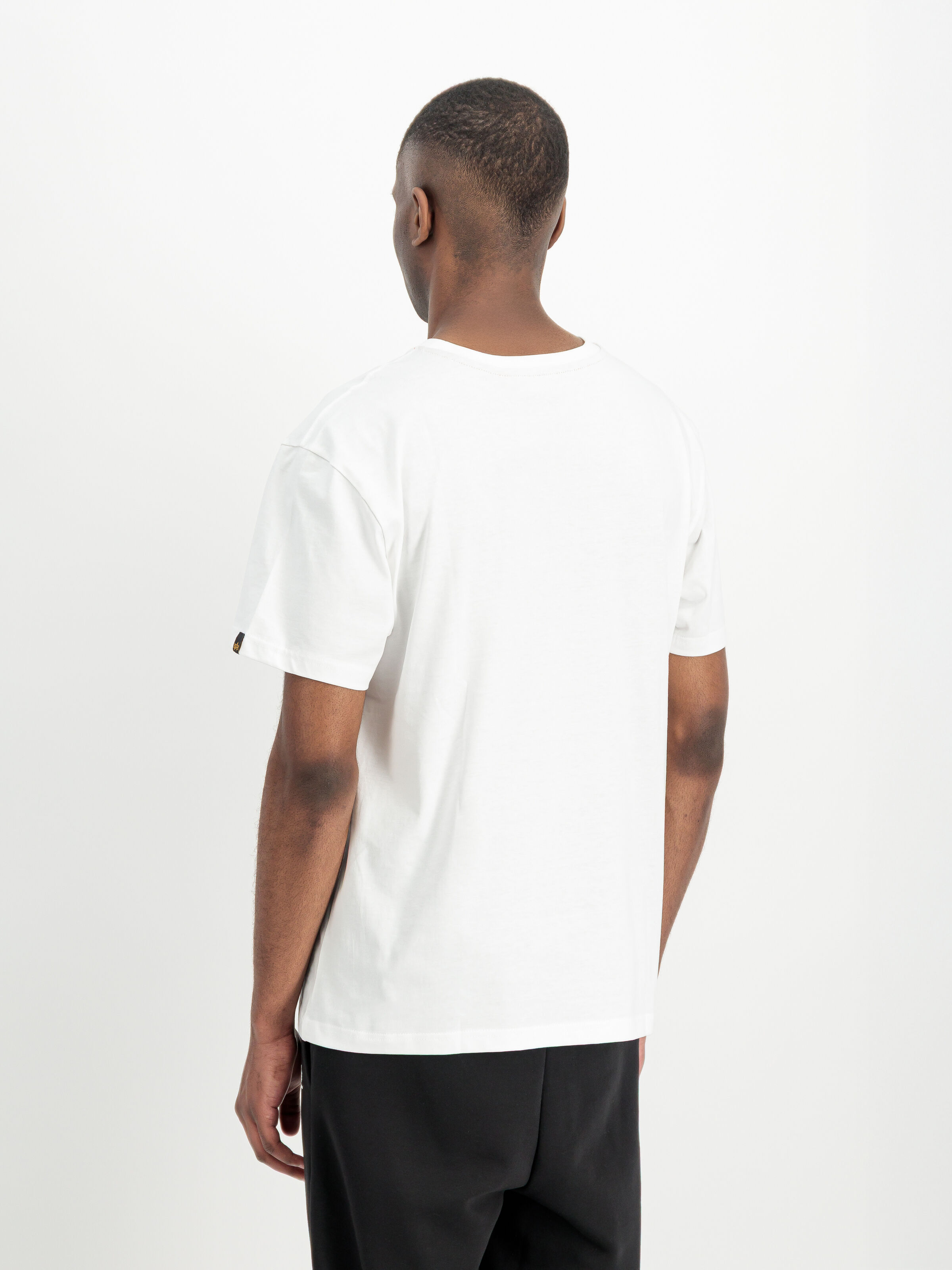 Washed Out Logo T-Shirt white 268512_09_2_model_00003_227442