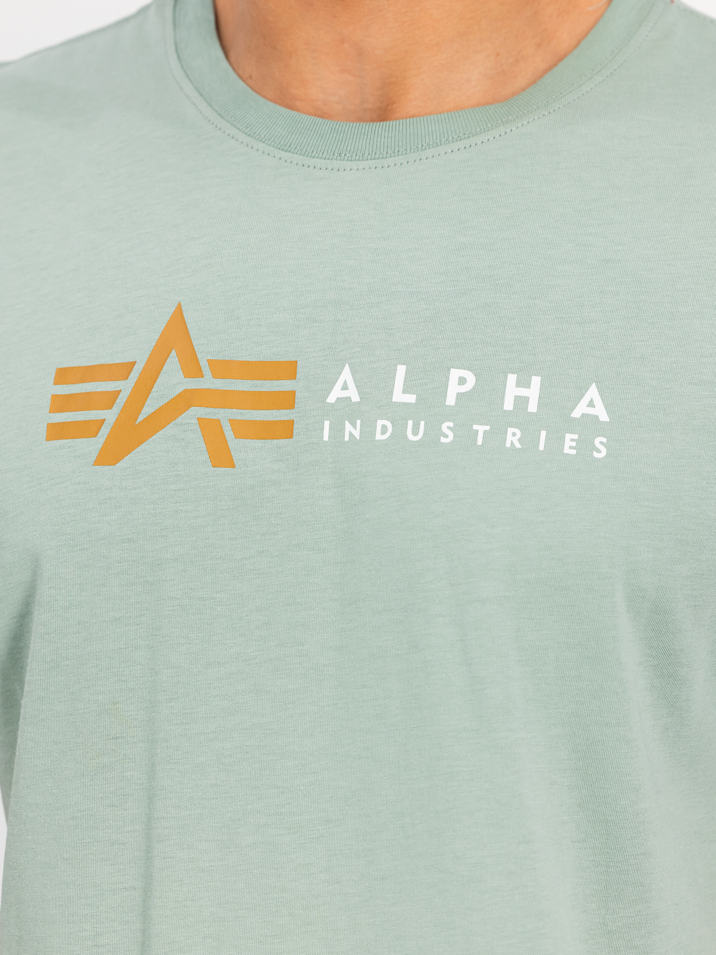 Alpha Label T-Shirt frost green 118502_30_3_detail_00001_197133