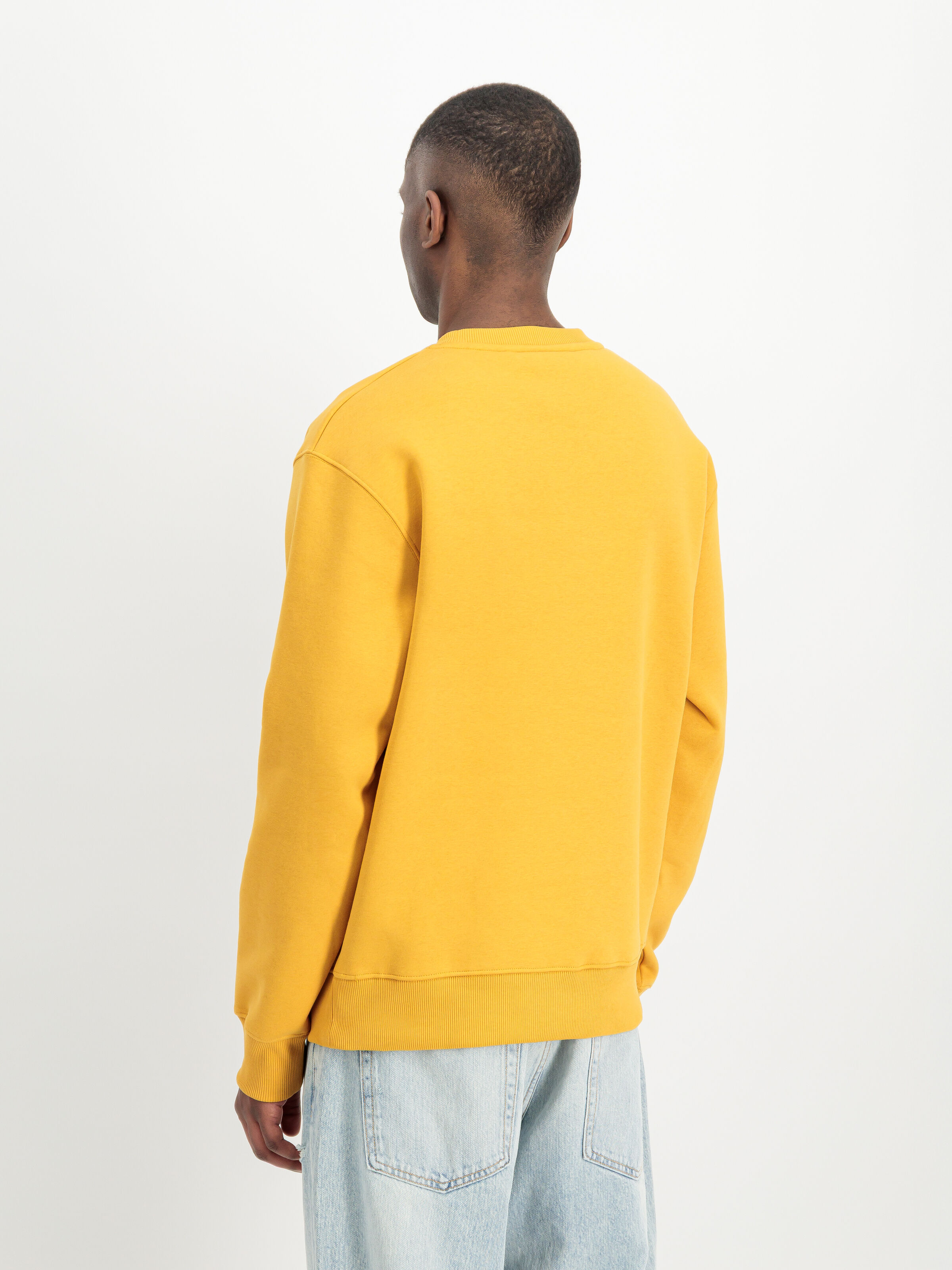 Basic Small Logo Sweatshirt wheat/blue 188307_776_2_model_00003_226768