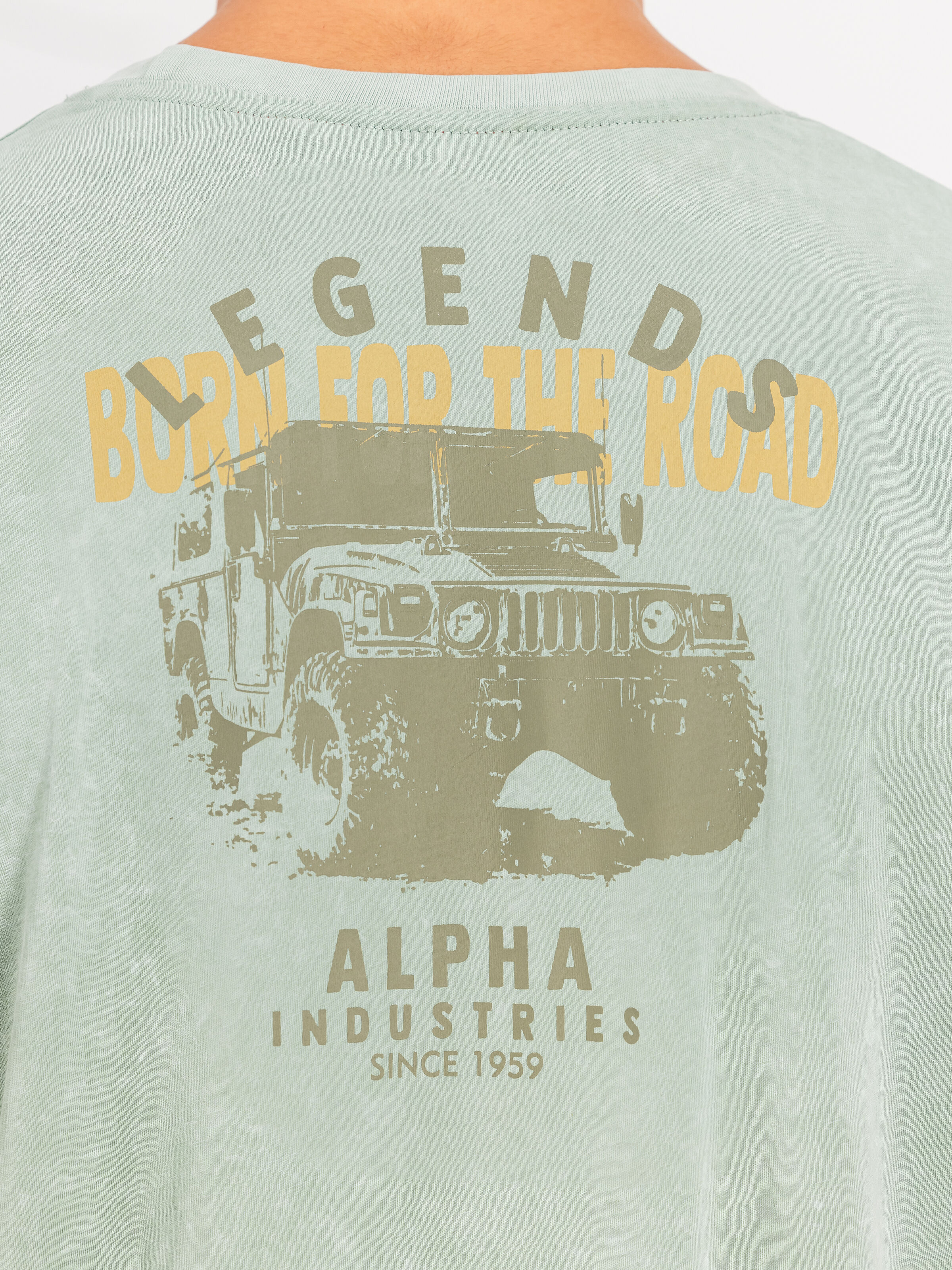 Alpha Legend T-Shirt frost green 266520_30_3_detail_00002_215391