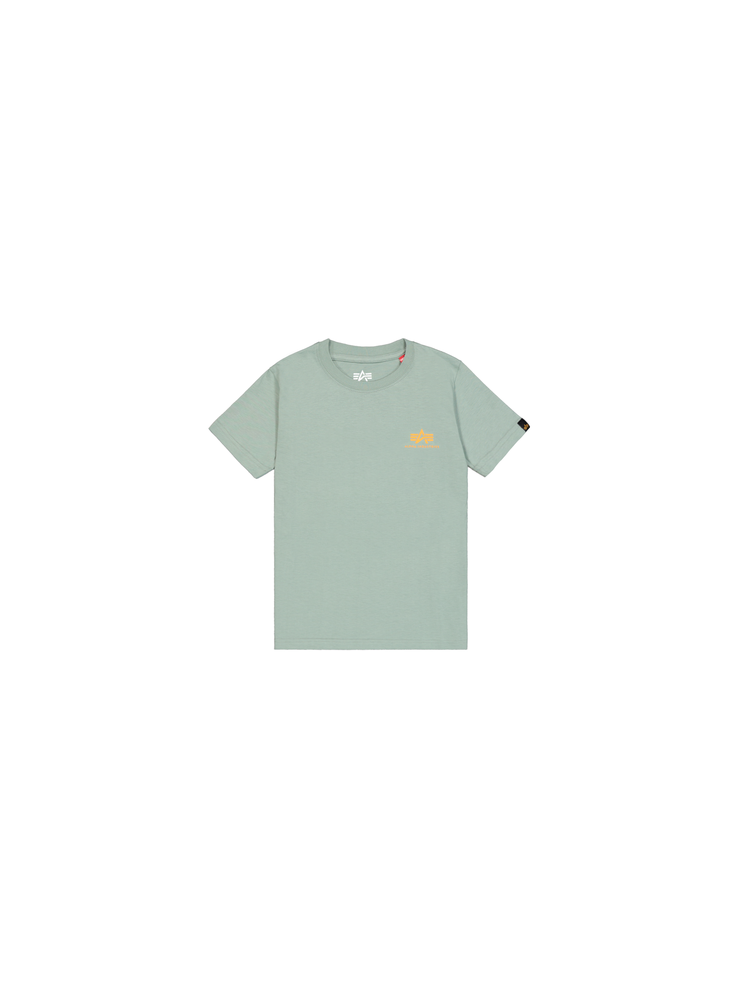Basic Small Logo T-Shirt Kids frost green 196704_30_1_flatlay_00001_178477.png