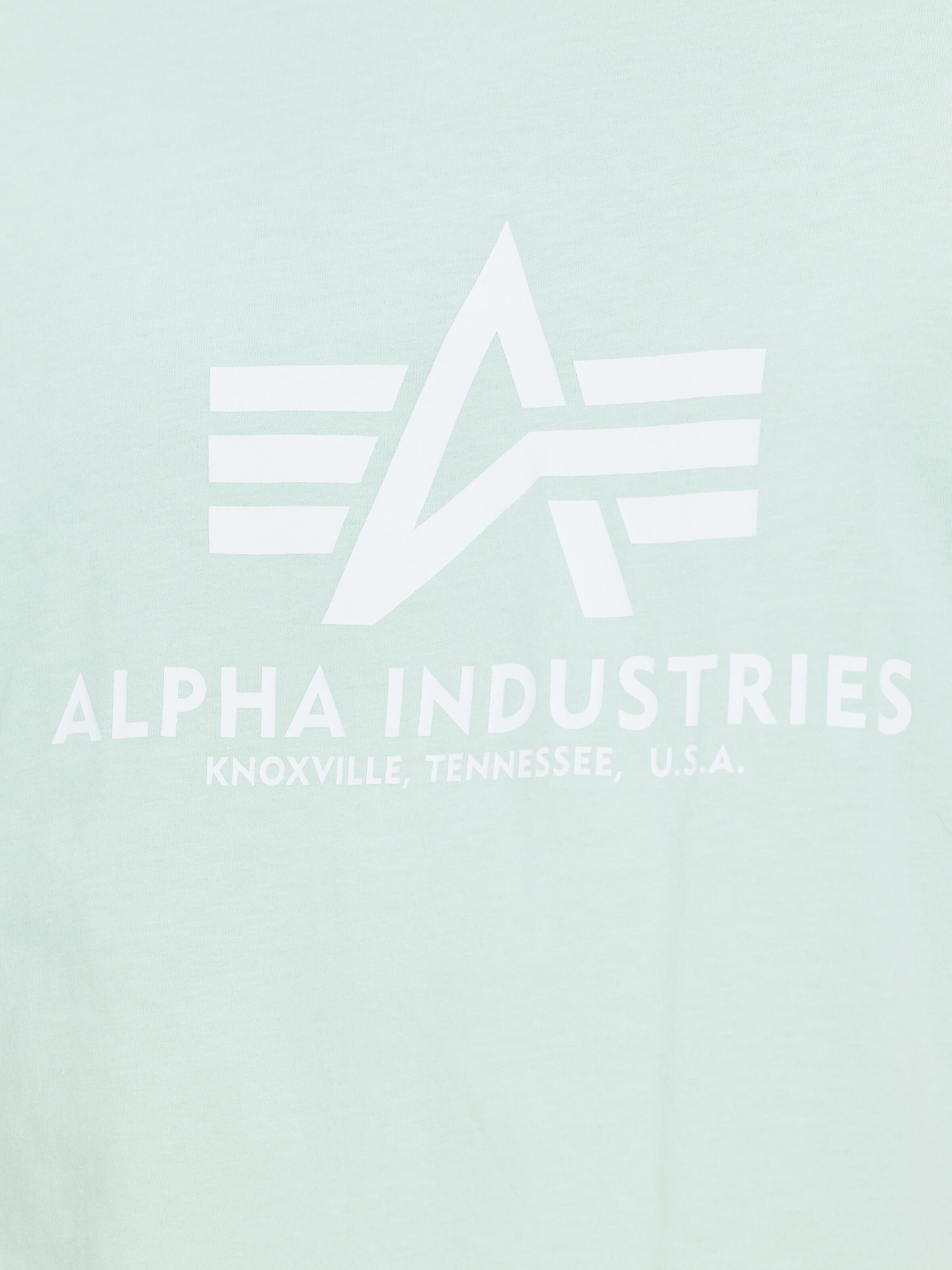 Basic Big Logo T-Shirt mint 100501_43_alpha_industries_basic_t_004_182135