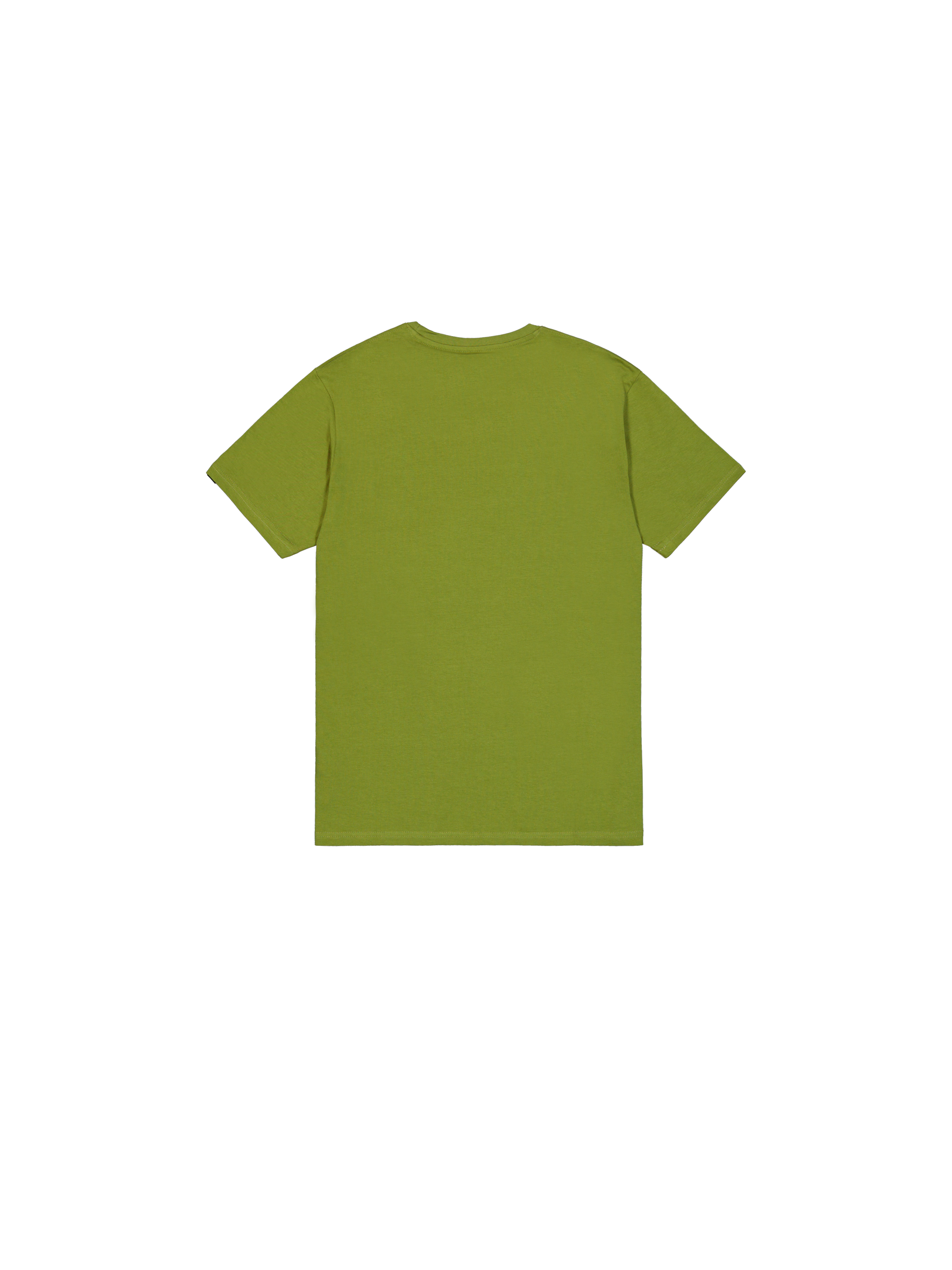 Flying Buzz Small Logo T-Shirt moss green 146516_714_1_flatlay_00002_223119