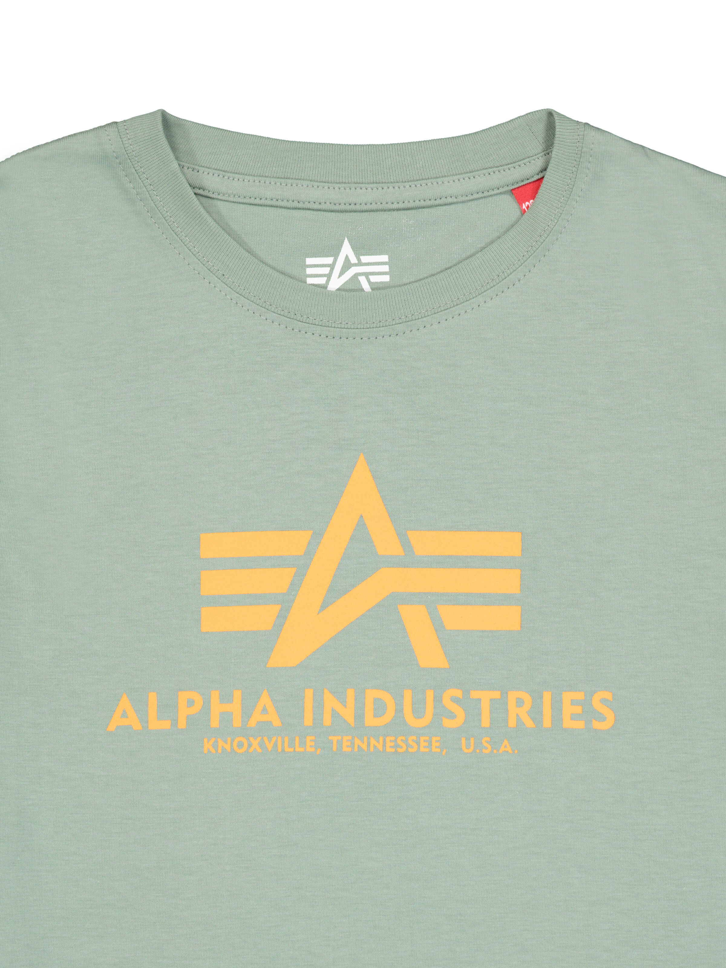 Basic Big Logo T-Shirt Kids frost green 196703_30_3_detail_00001_195761