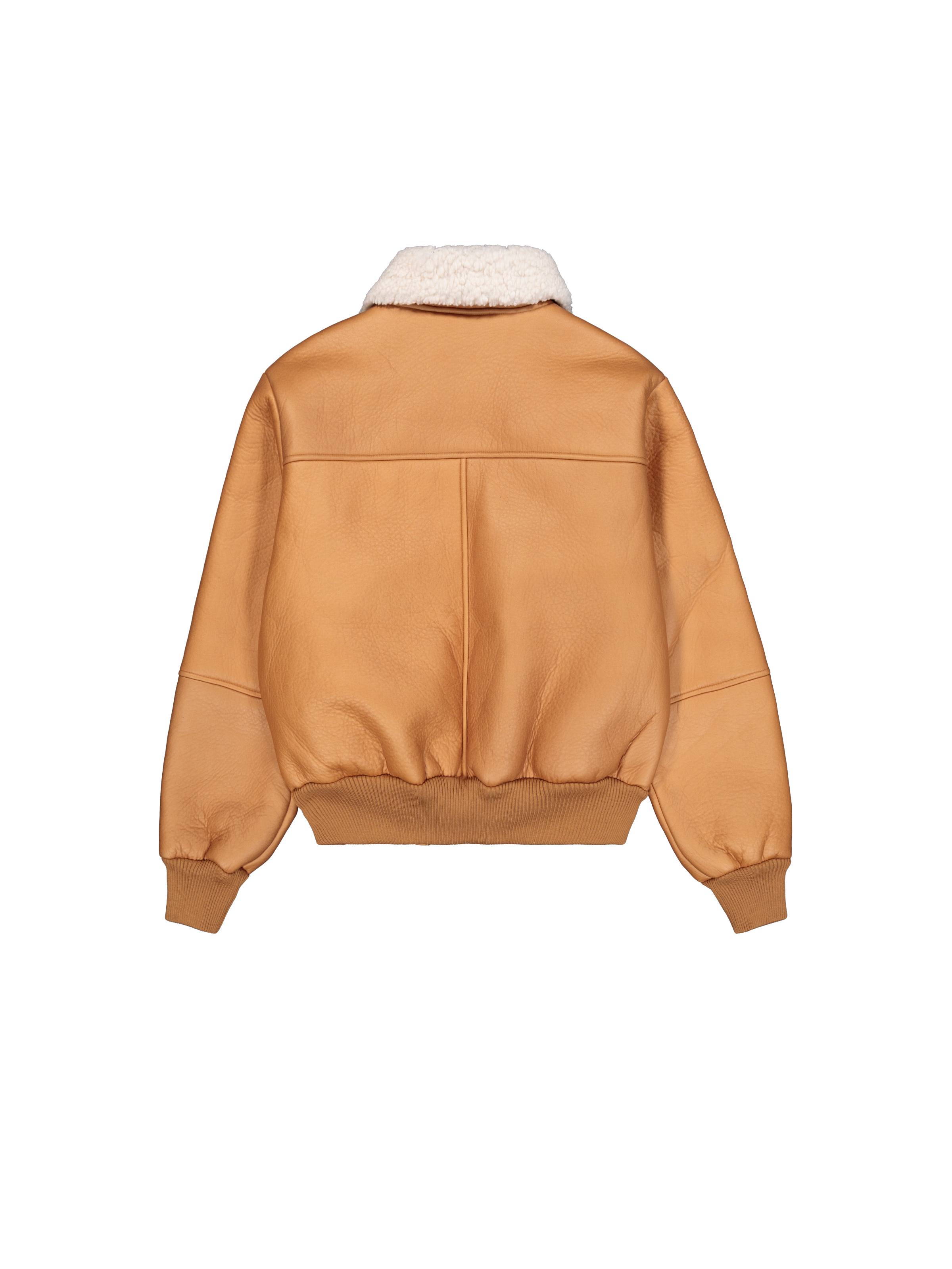 B-15 MOD Winter Jacket camel 258117_370_1_flatlay_00002_163012