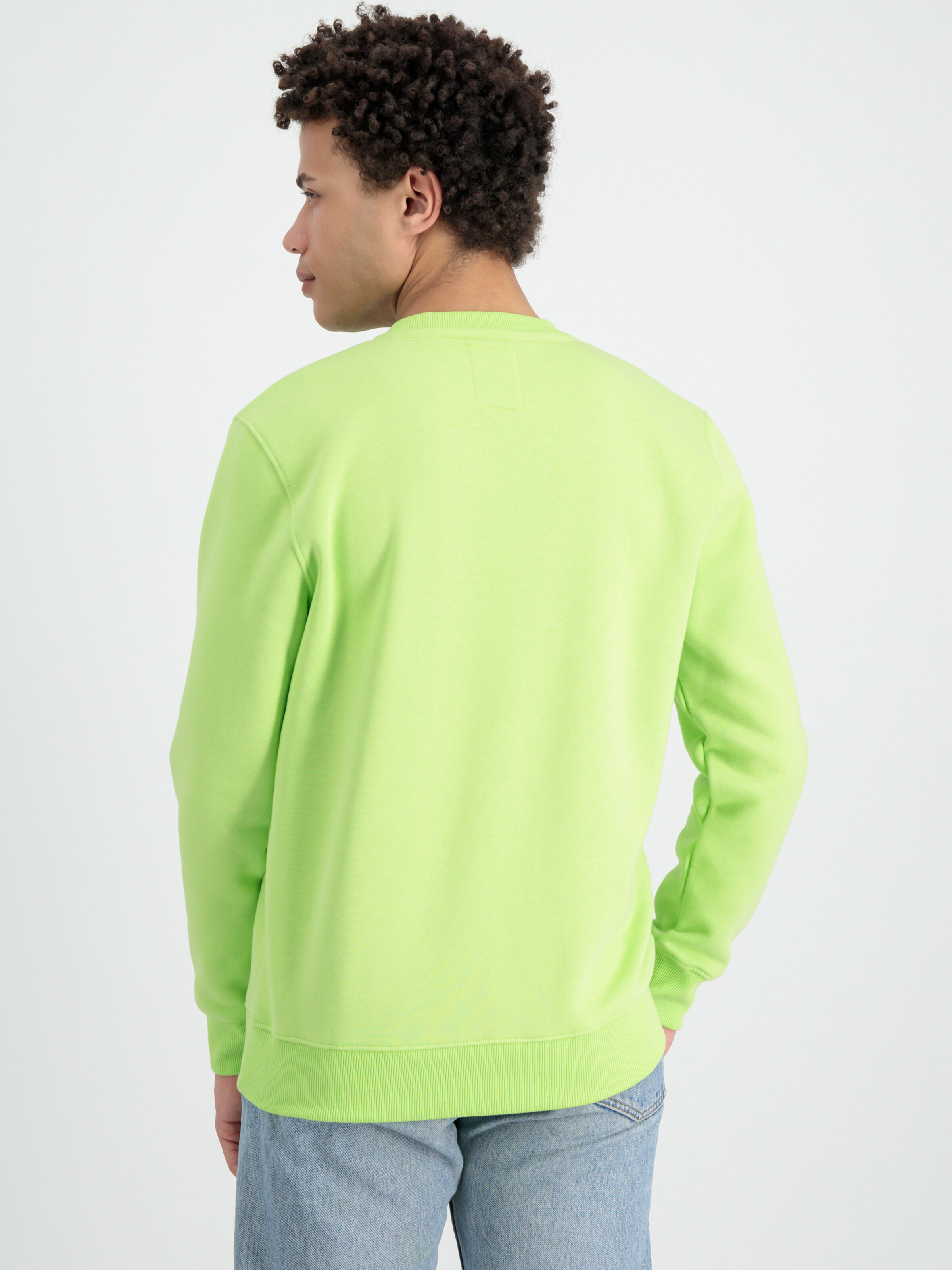 Basic Big Logo Sweatshirt hornet green 178302_698_alpha_industries_basic_sweater_00003_182739