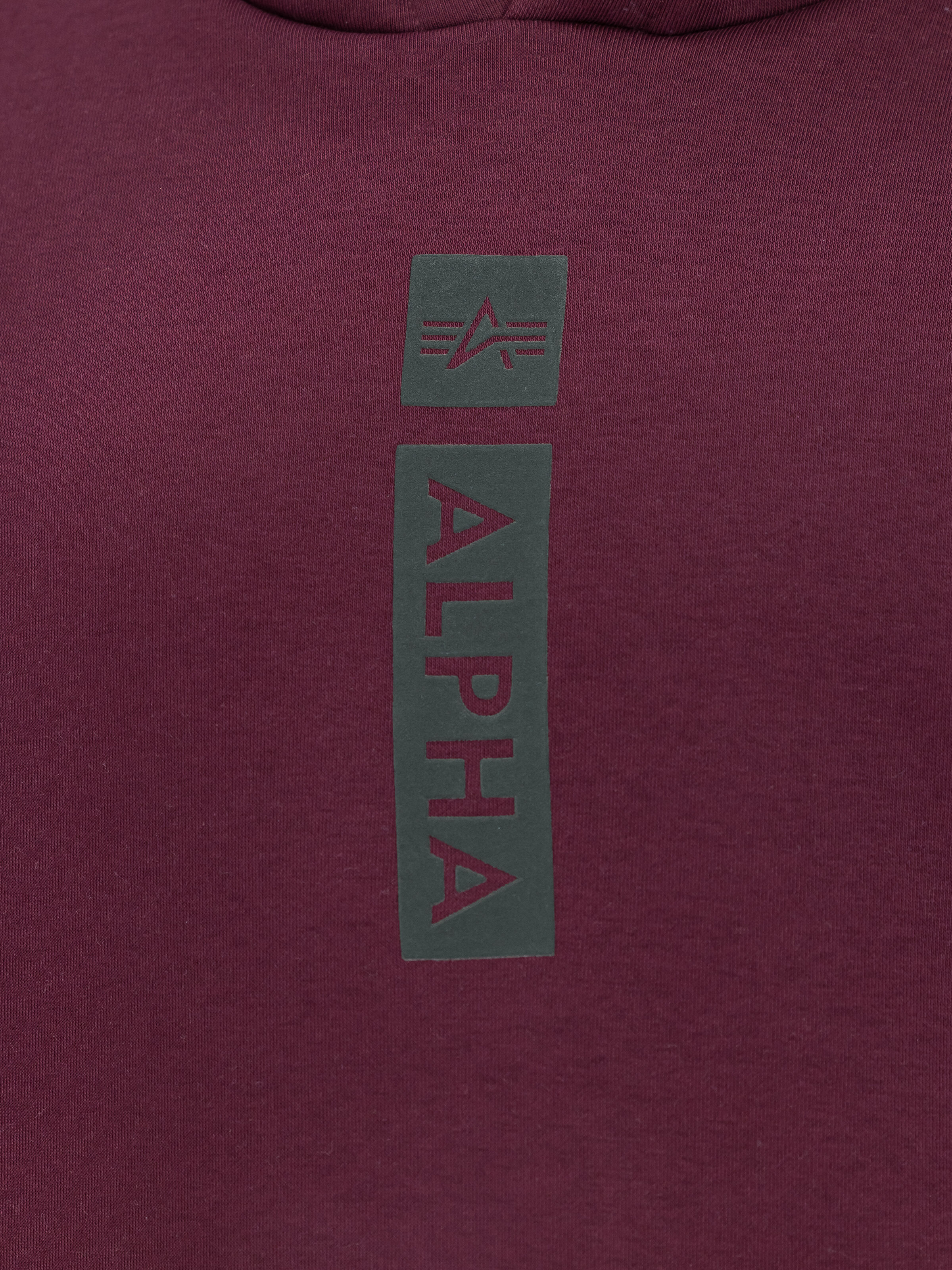 Alpha Puff Print Hoodie dark cherry 146338_608_3_detail_00001_184713