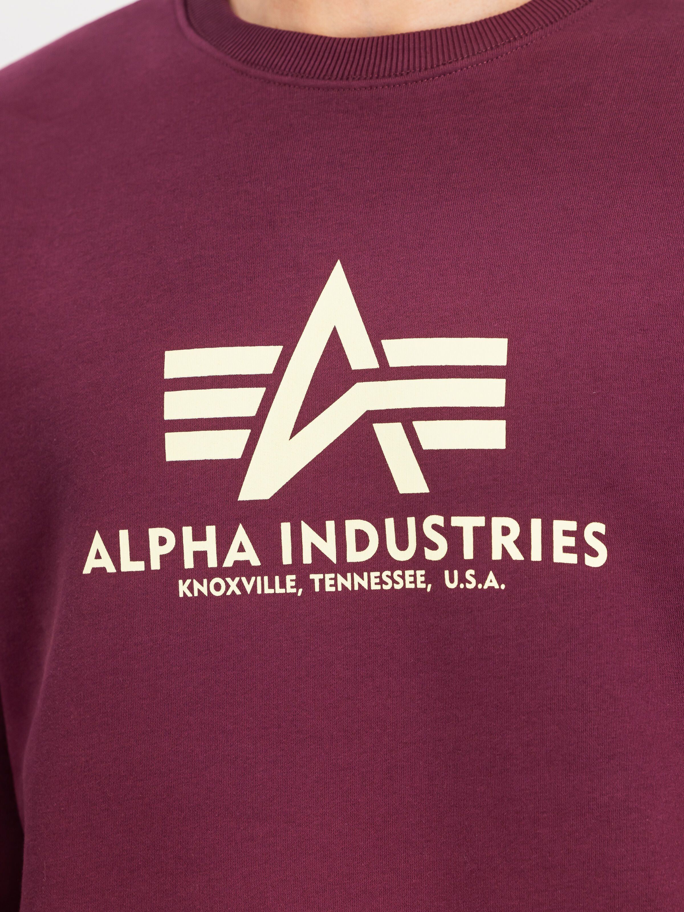 Basic Big Logo Sweatshirt dark cherry 178302_608_3_detail_00001_166313
