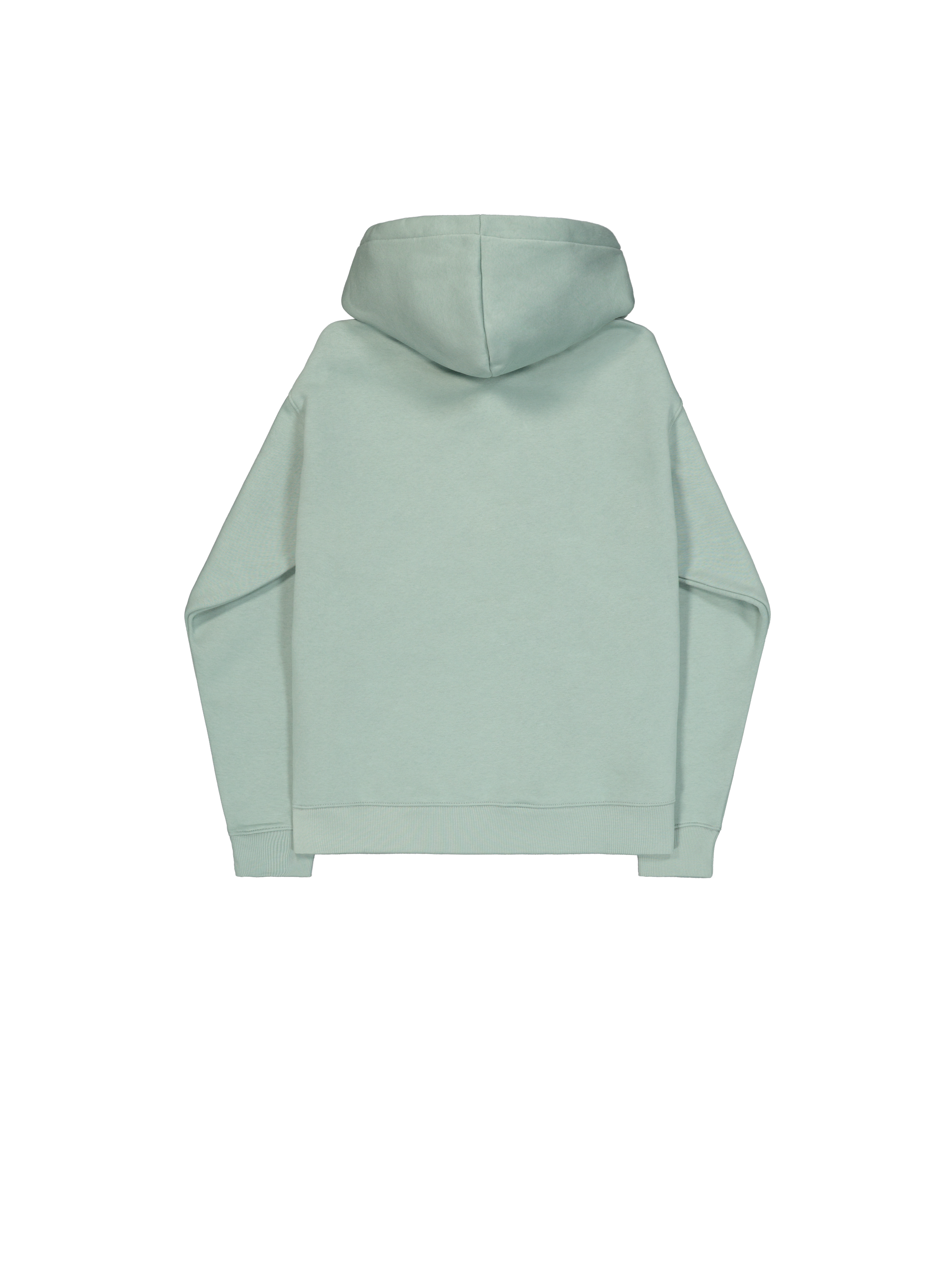 Basic Big Logo Effect Print Hoodie frost green 178312EP_30_1_flatlay_00002_175120