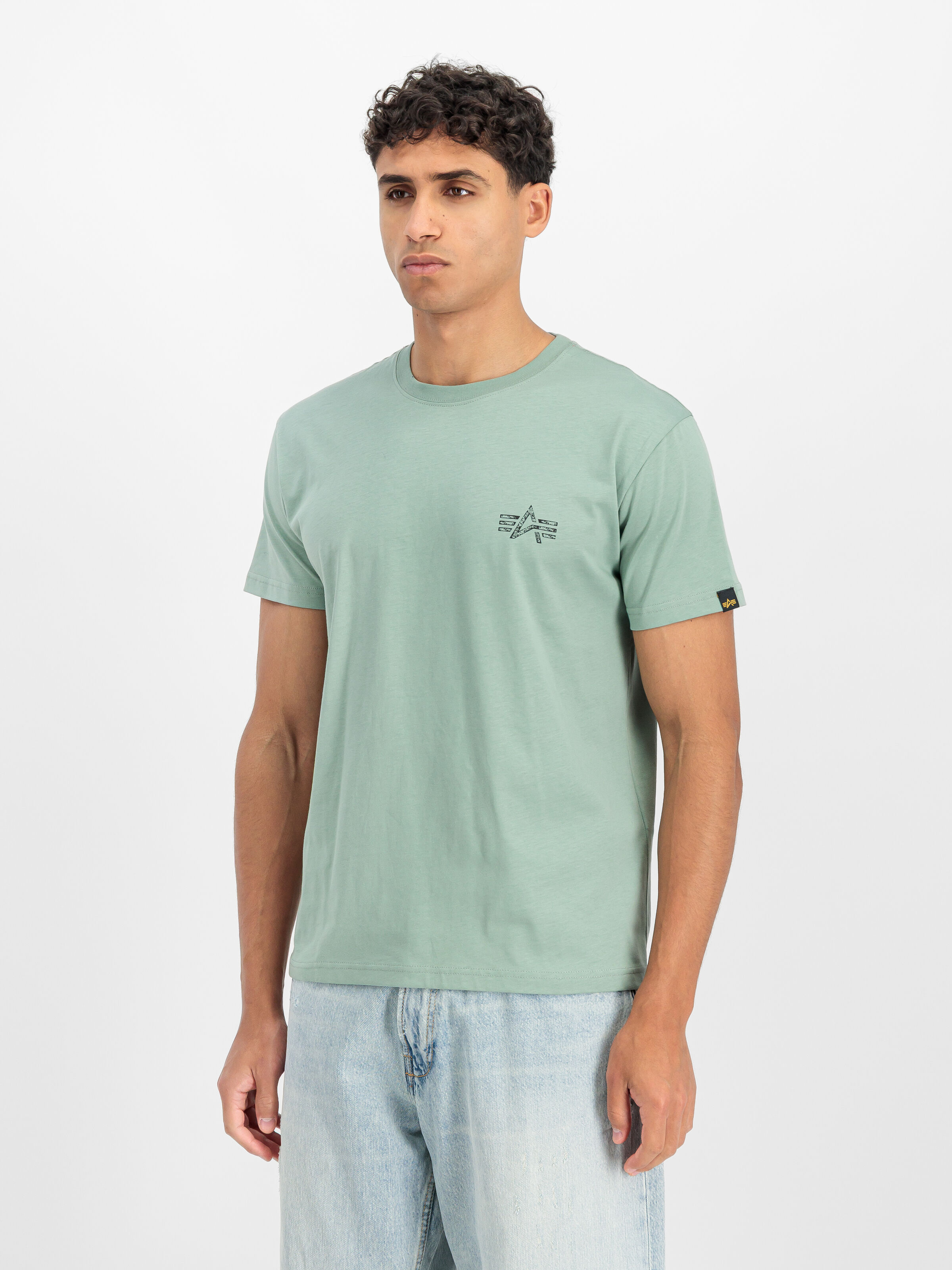 Signature Backprint T-Shirt frost green 148516_30_2_model_00002_196703