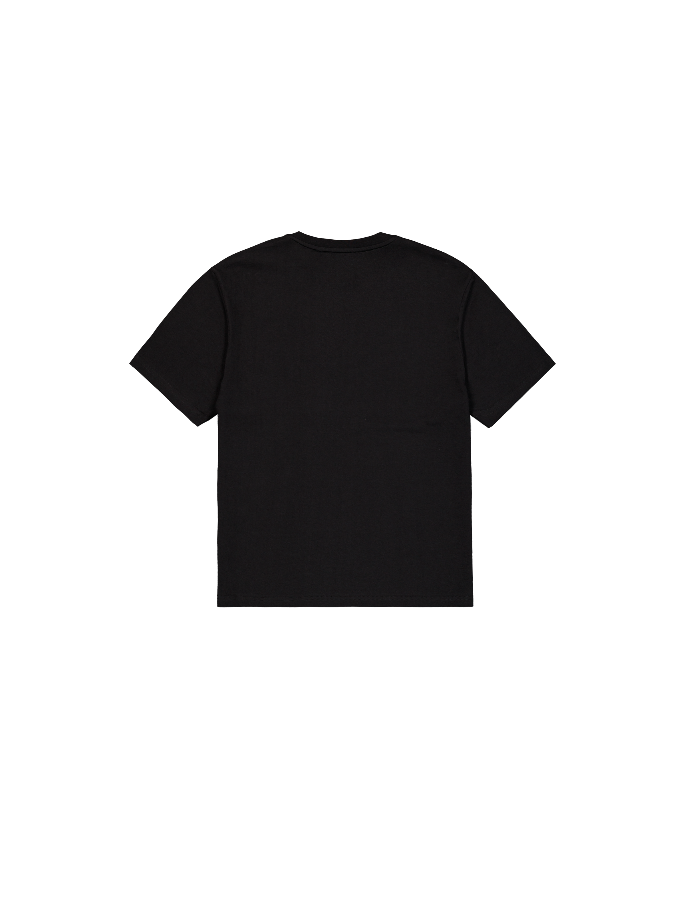 Dye To Match Mid Logo T-Shirt black 268505_03_1_flatlay_00002_203470