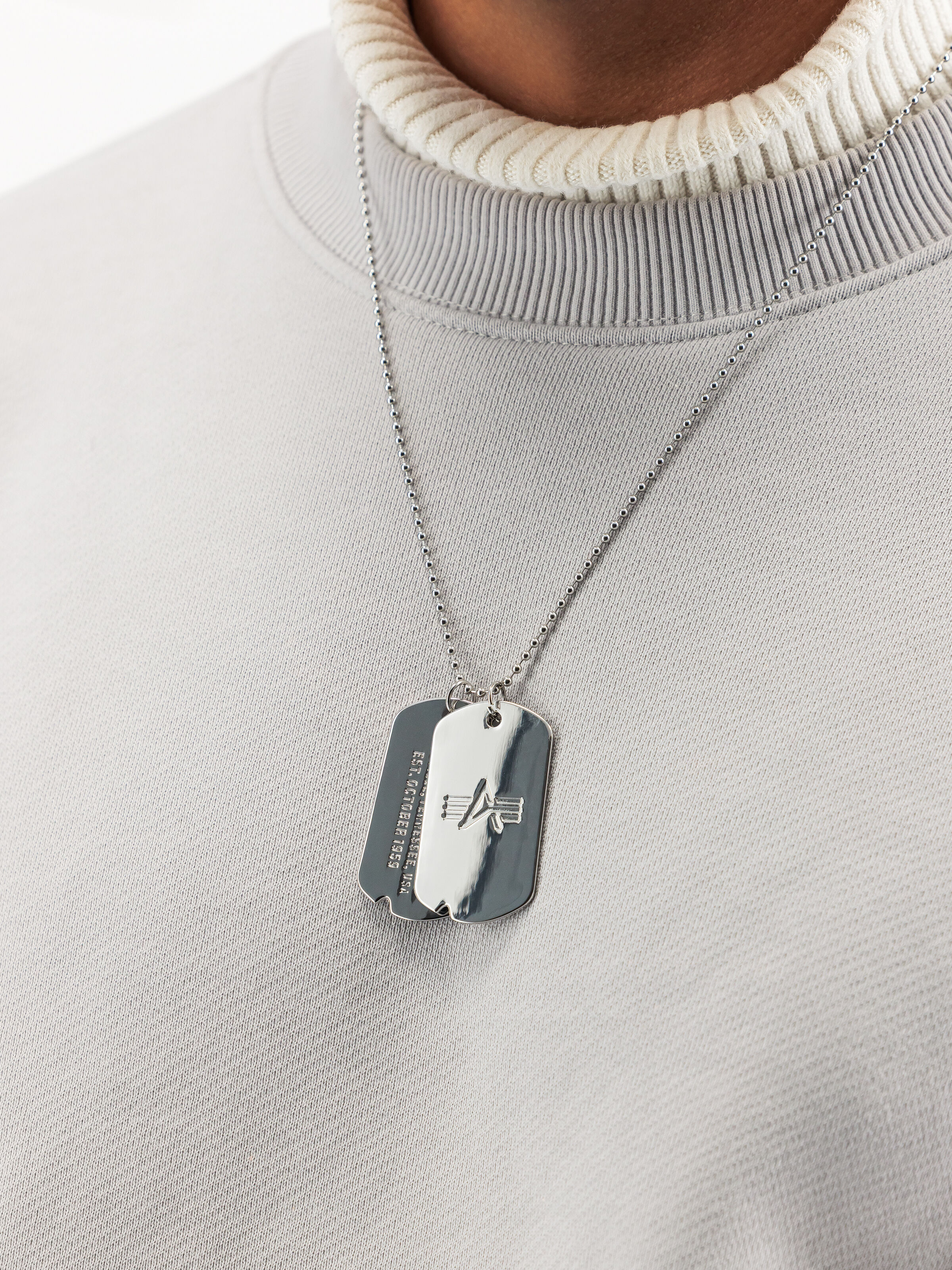 Dog Tag Necklace silver 266967_31_2_model_00001_211442