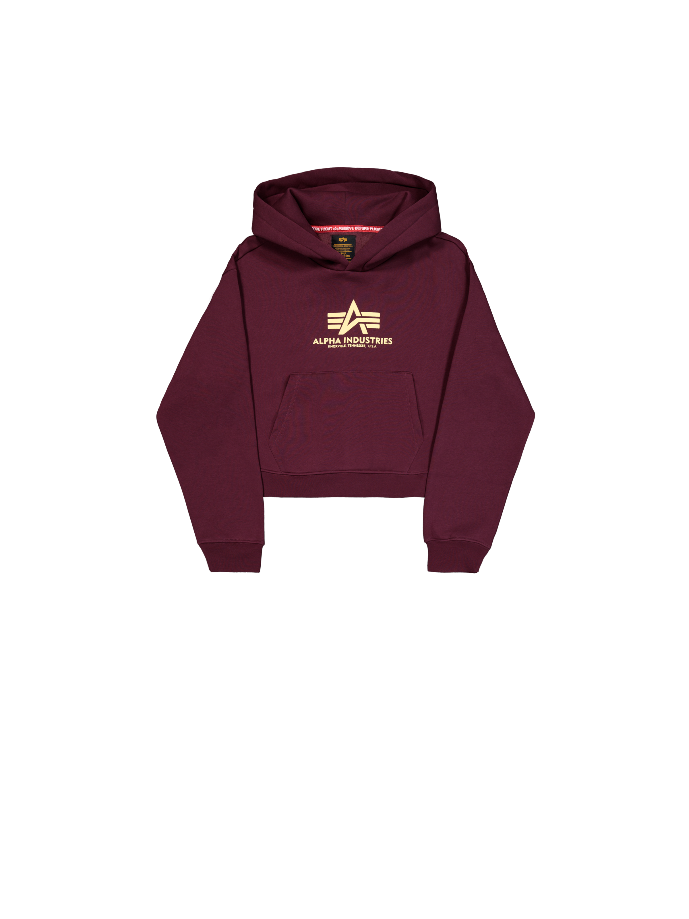 Basic Big Logo Puff Print Hoodie Women dark cherry 258040_608_1_flatlay_00001_165856.png