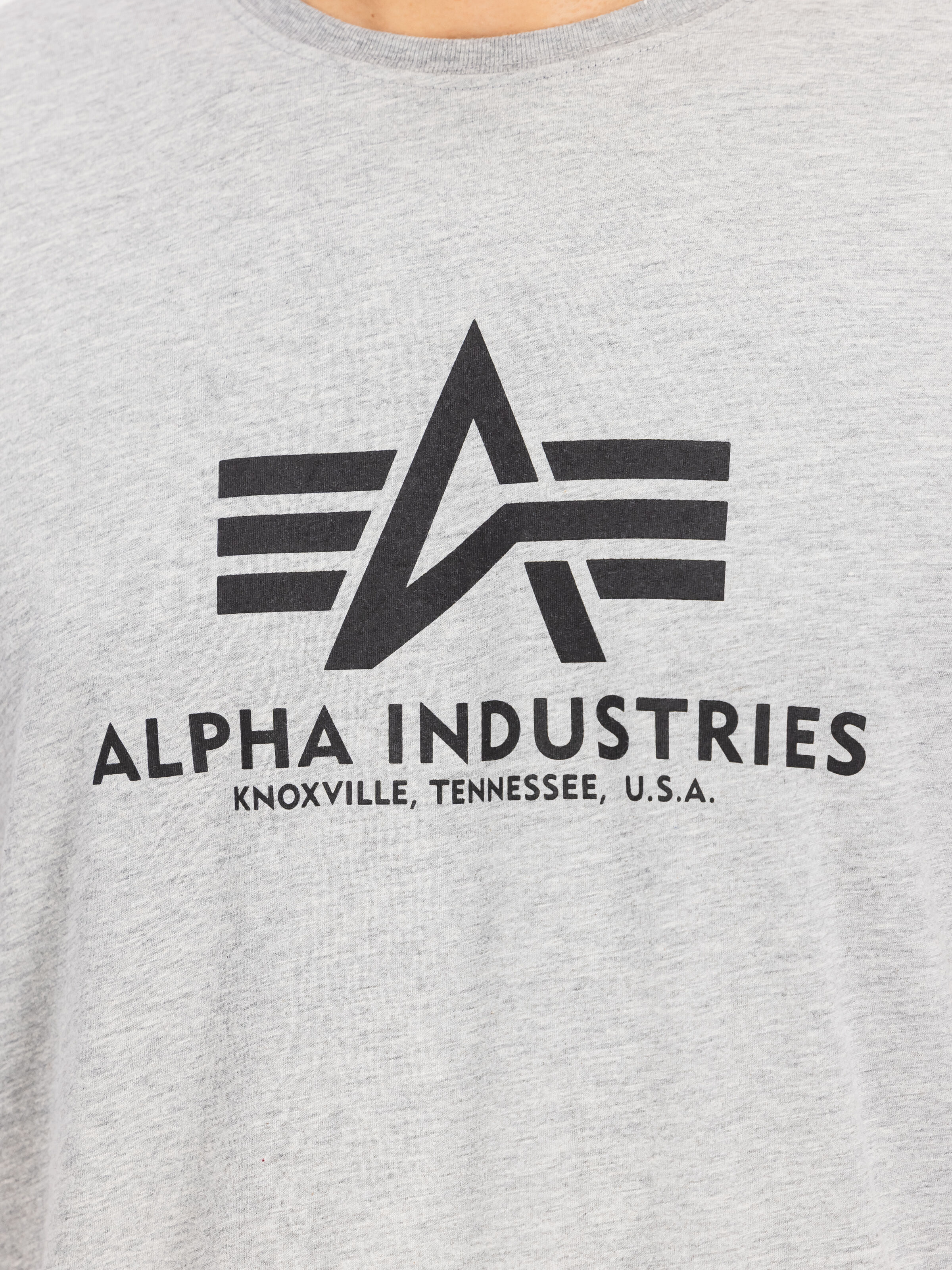 Basic Big Logo T-Shirt grey heather 100501_17_3_detail_00001_184324