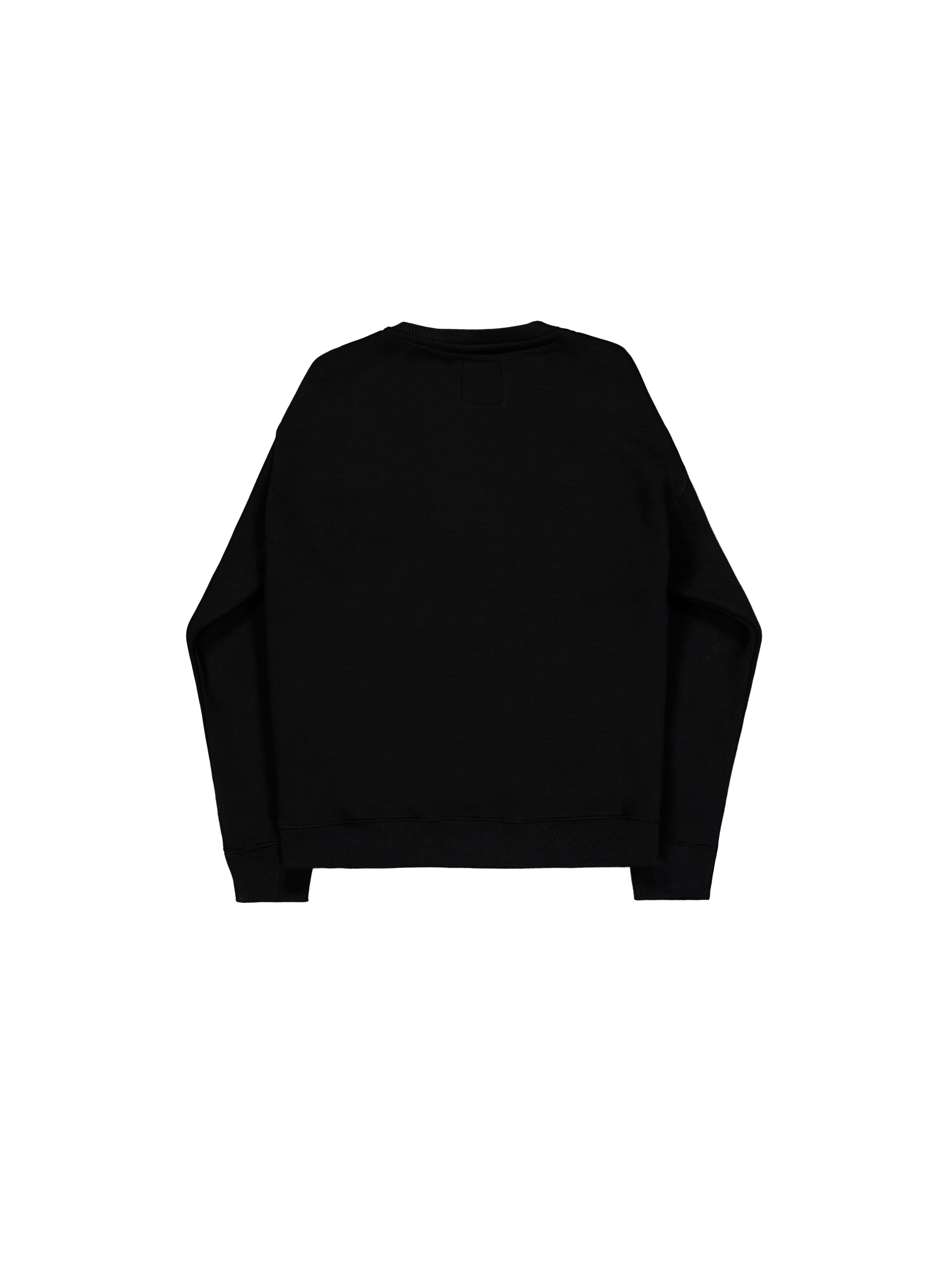 Alpha Puff Print Sweatshirt black 146305_03_1_flatlay_00002_152827