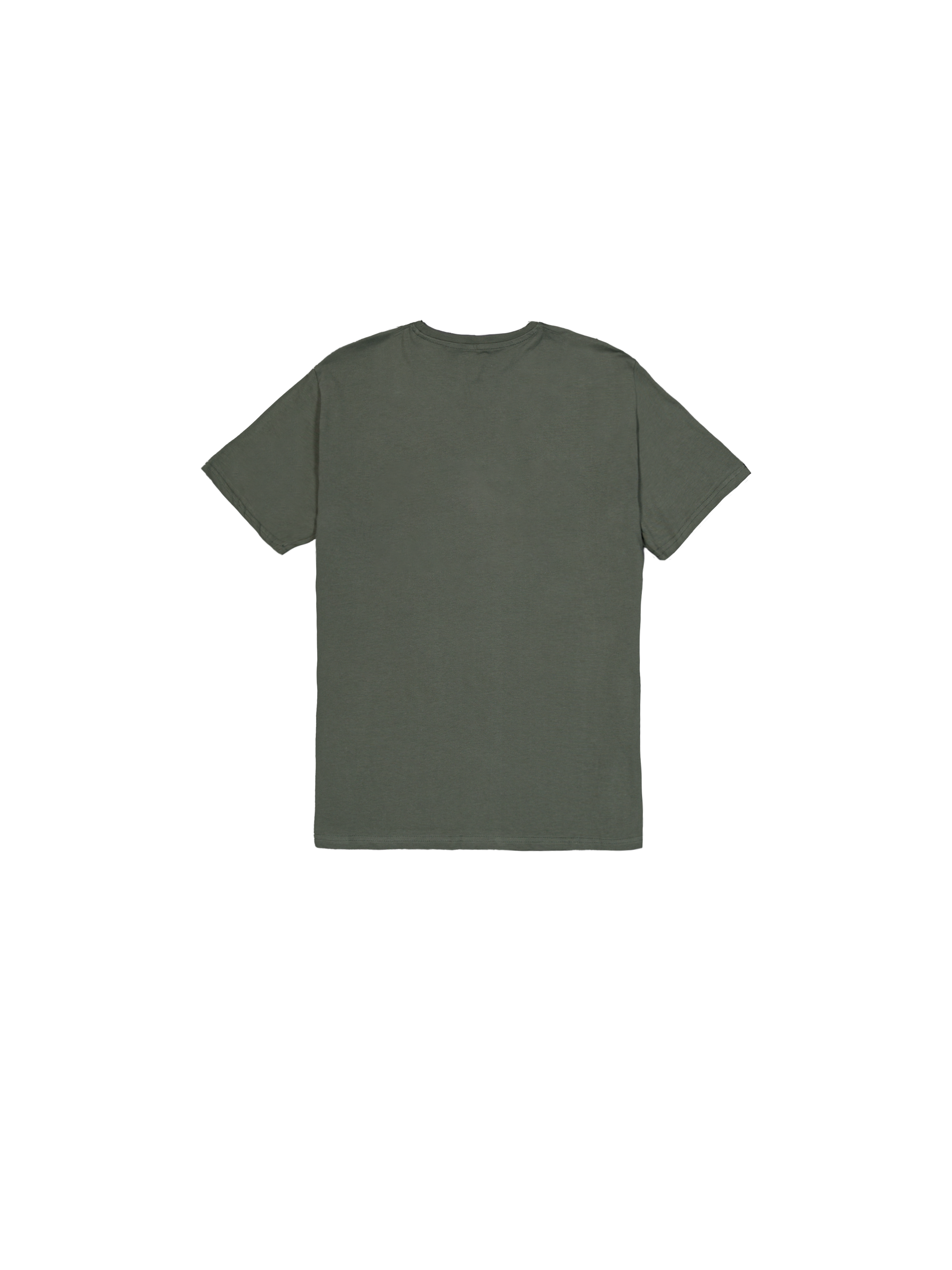 Basic Big Logo T-Shirt dark olive 100501_142_1_flatlay_00002_102627
