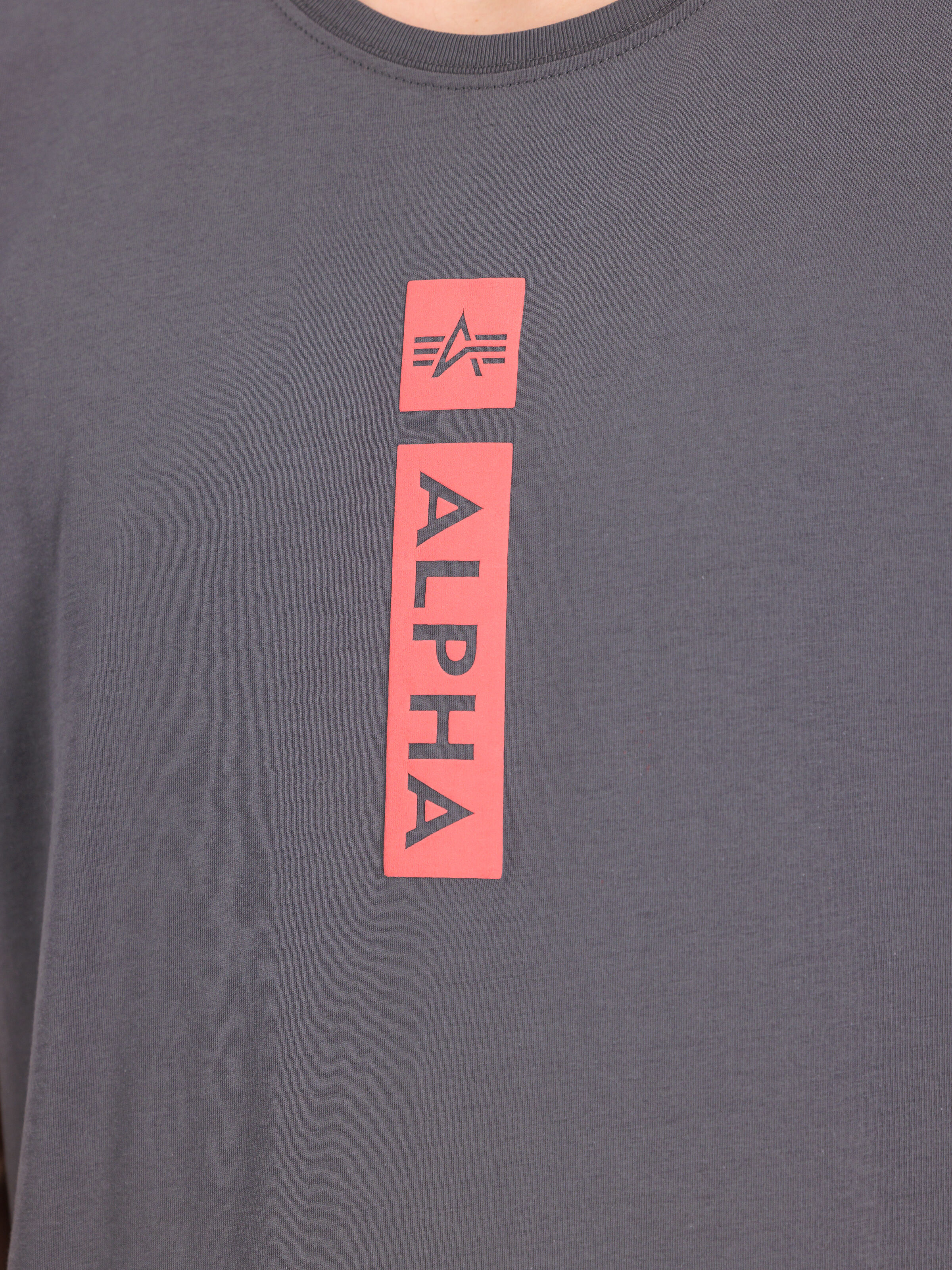 Alpha Puff Print T-Shirt vintage grey 146509_684_3_detail_00001_129956
