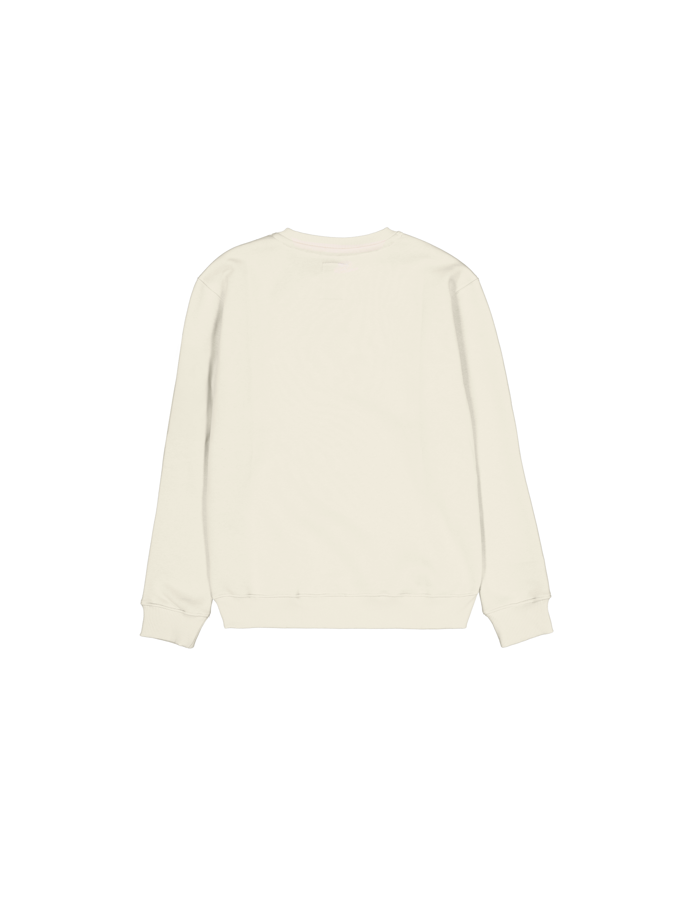 Camo Sleeve Sweatshirt vintage white 156306_300_1_flatlay_00002_145712