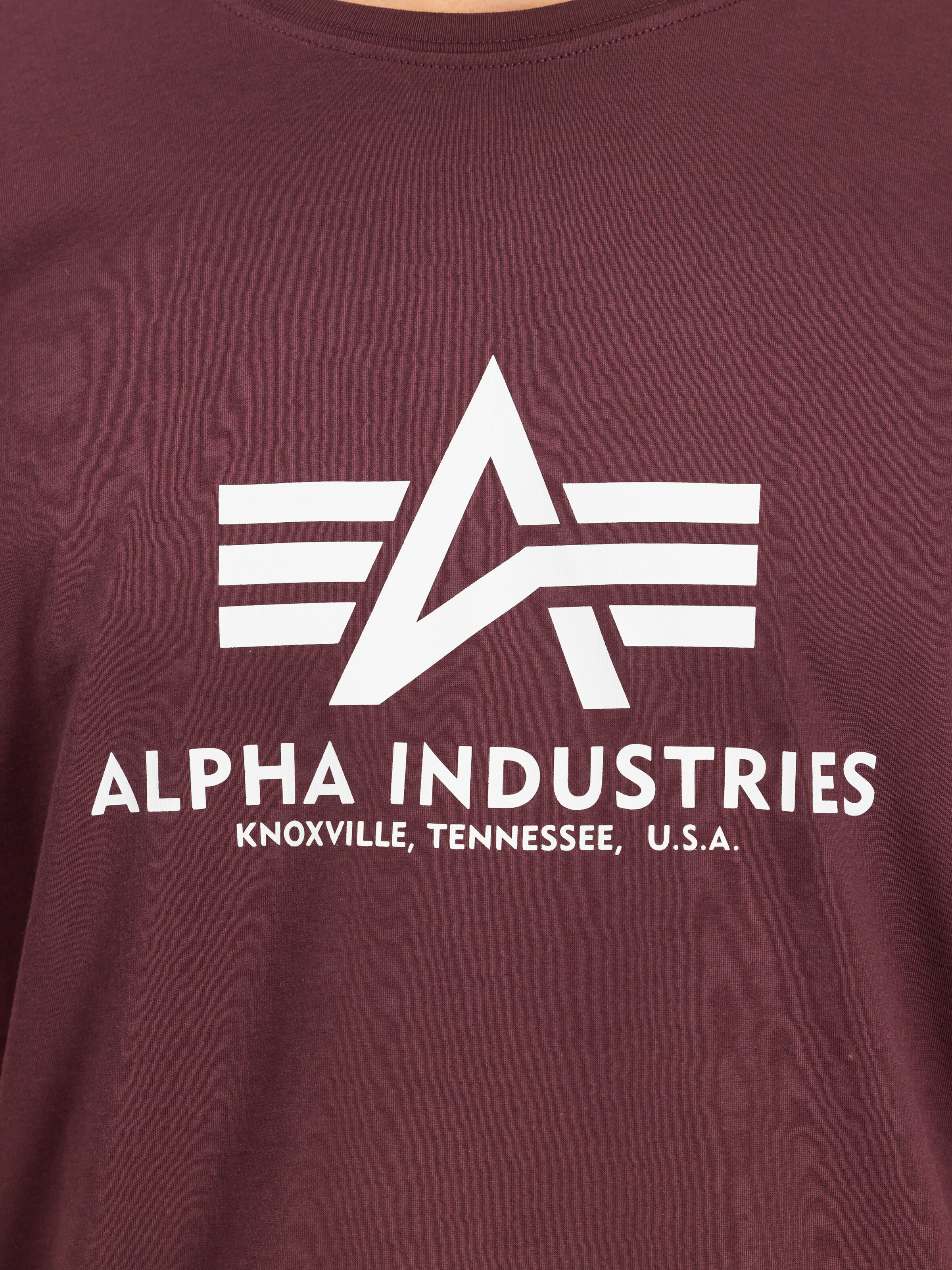 Basic Big Logo T-Shirt deep maroon 100501_21_3_detail_00001_184371