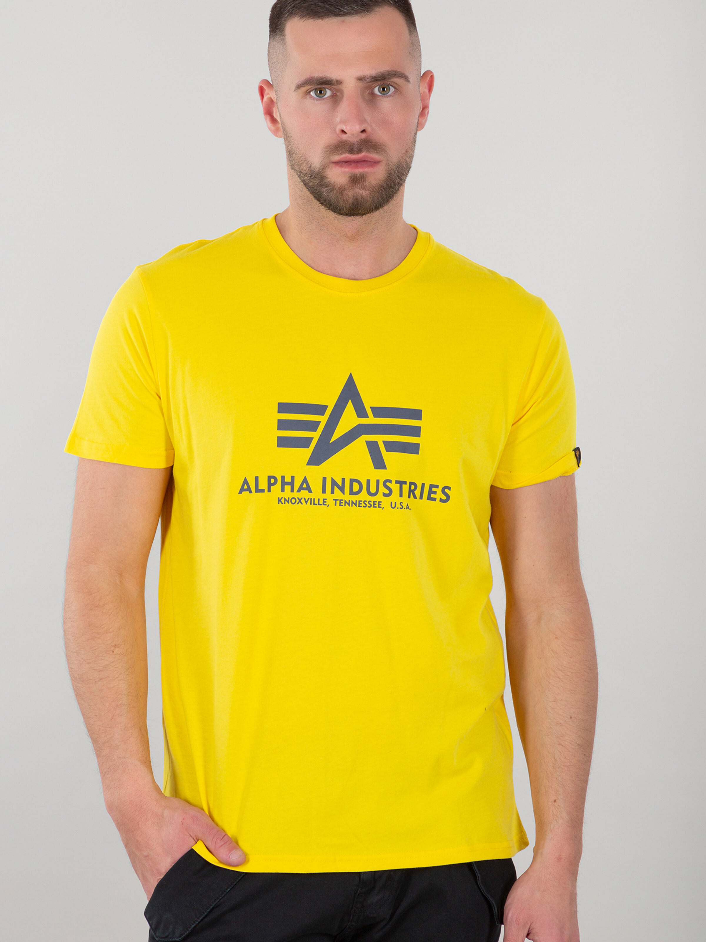 Basic Big Logo T-Shirt empire yellow 100501_465_alpha_industries_basic_t_shirt_001_182167
