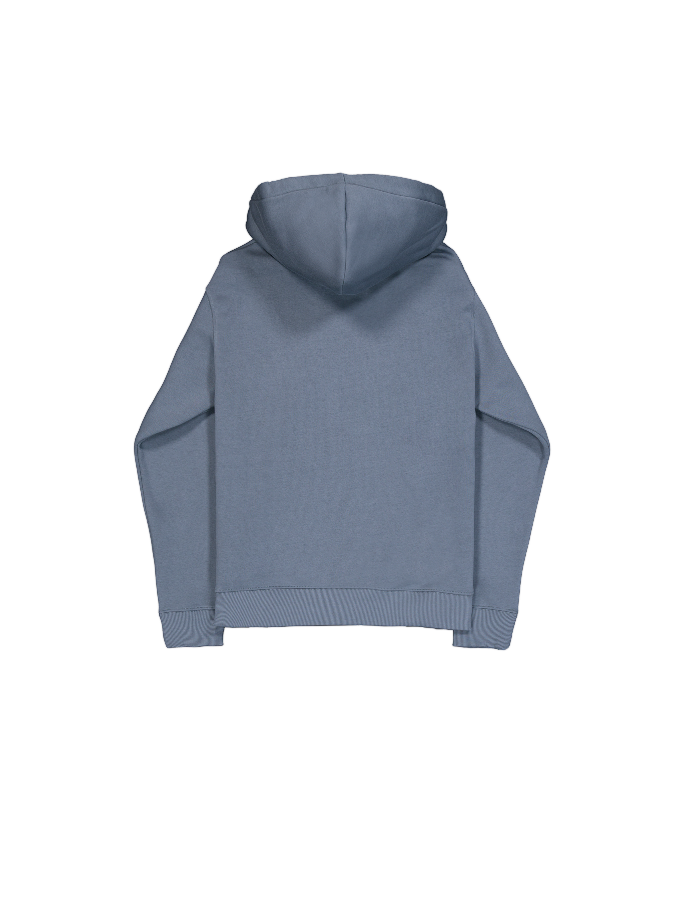 Basic Small Logo Hoodie denim blue 196318_439_1_flatlay_00002_159898