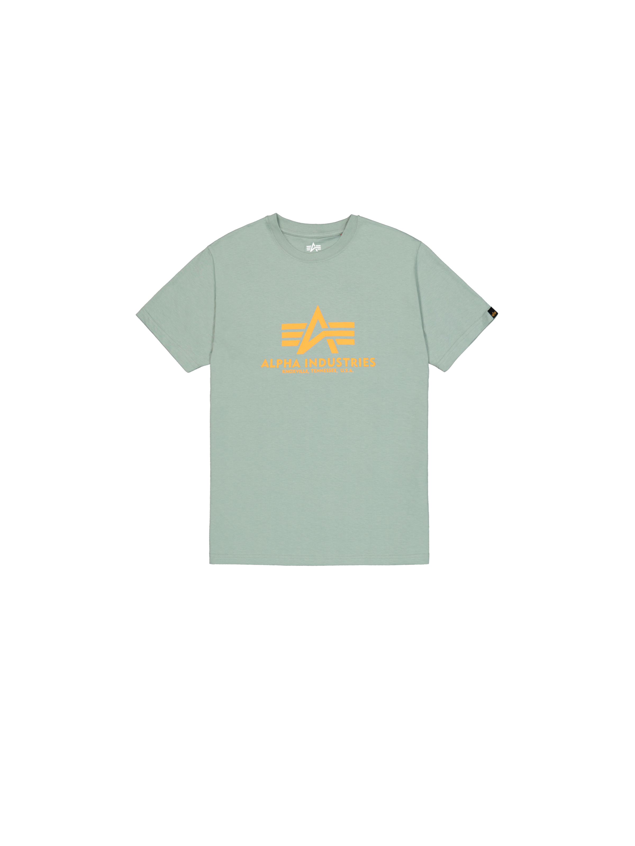 Basic Big Logo T-Shirt frost green 100501_30_1_flatlay_00001_246462.png