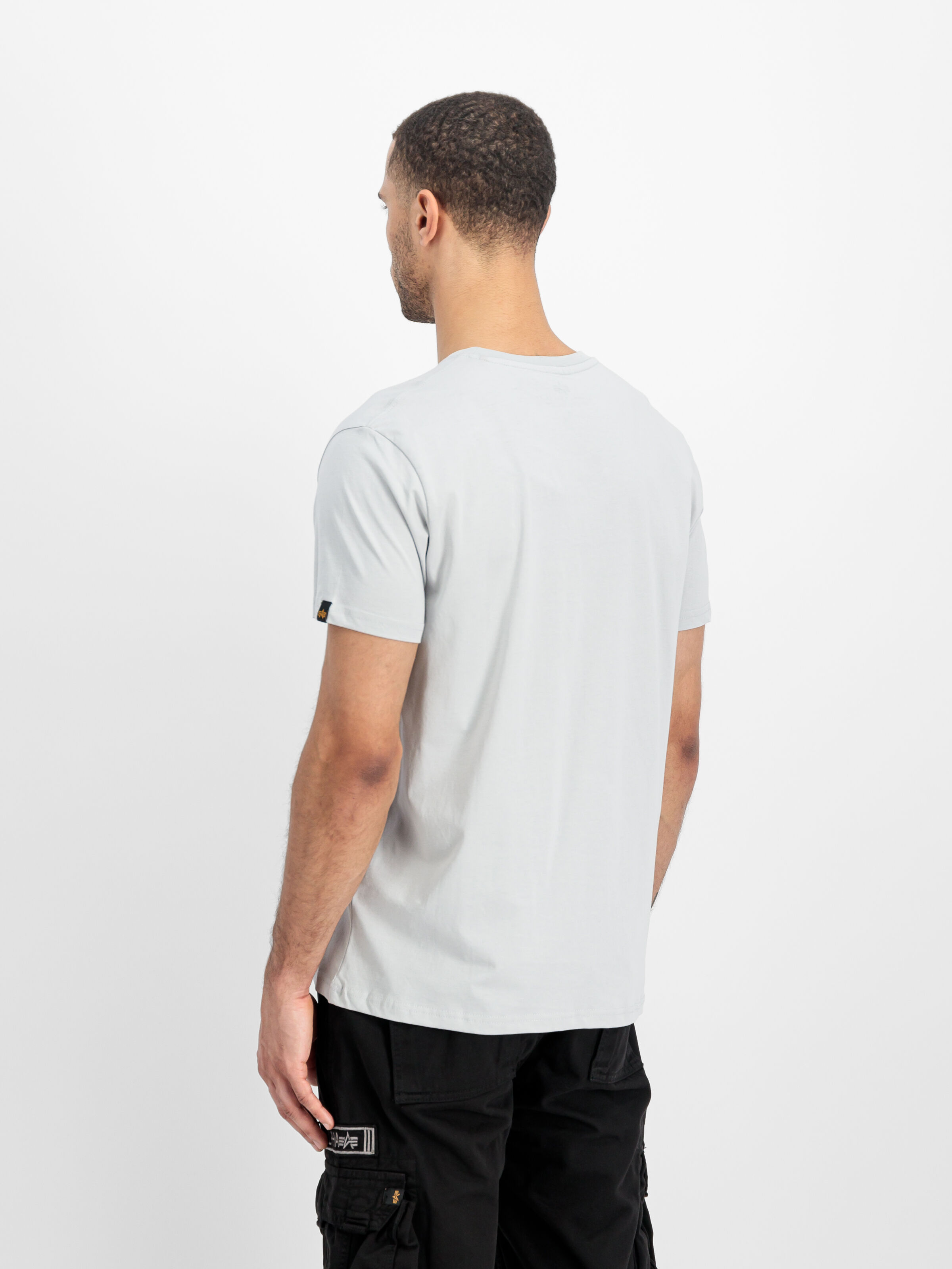 Basic Big Logo T-Shirt pastel grey 100501_666_2_model_00004_125276