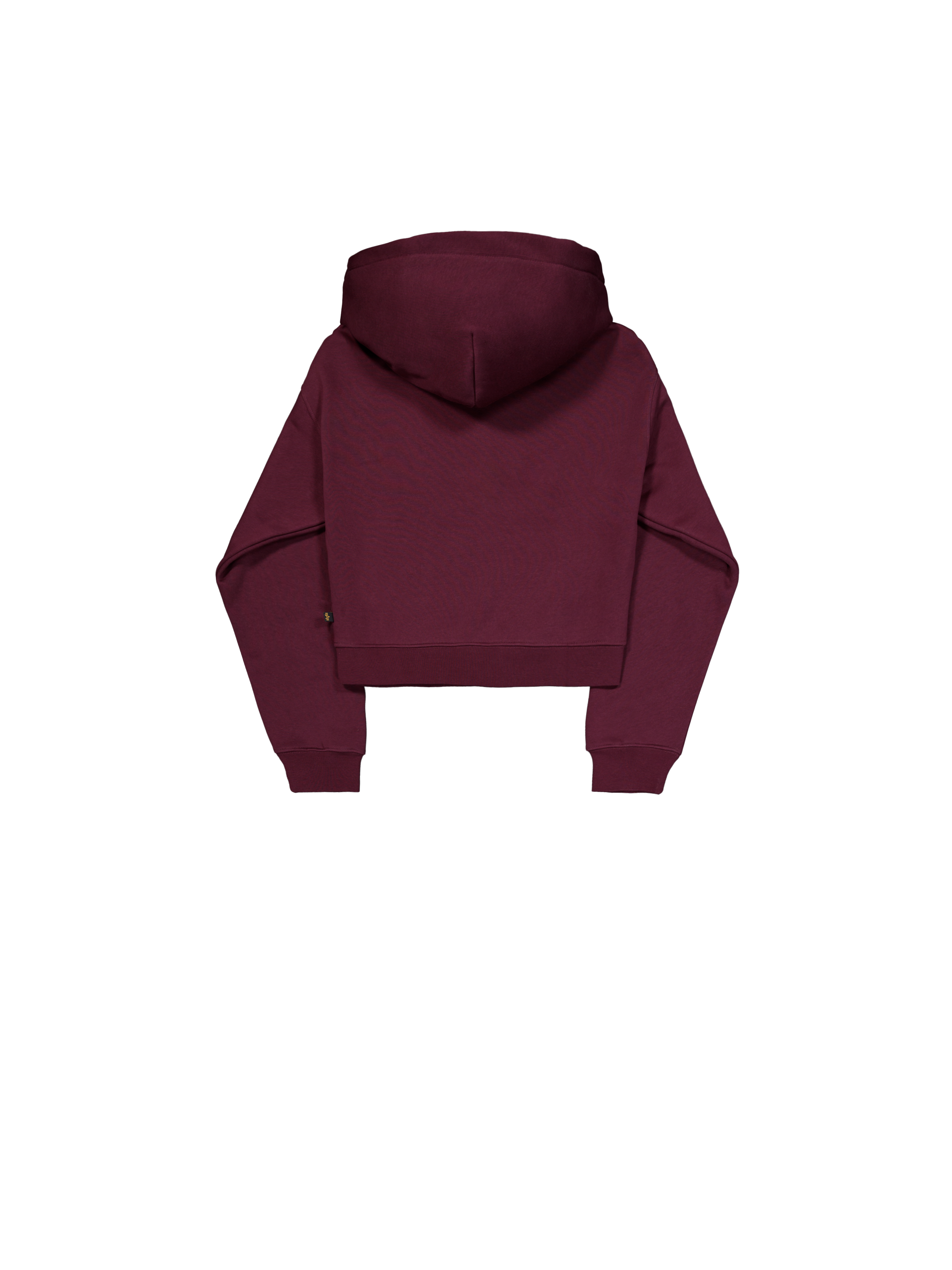 Basic Big Logo Puff Print Hoodie Women dark cherry 258040_608_1_flatlay_00002_165857