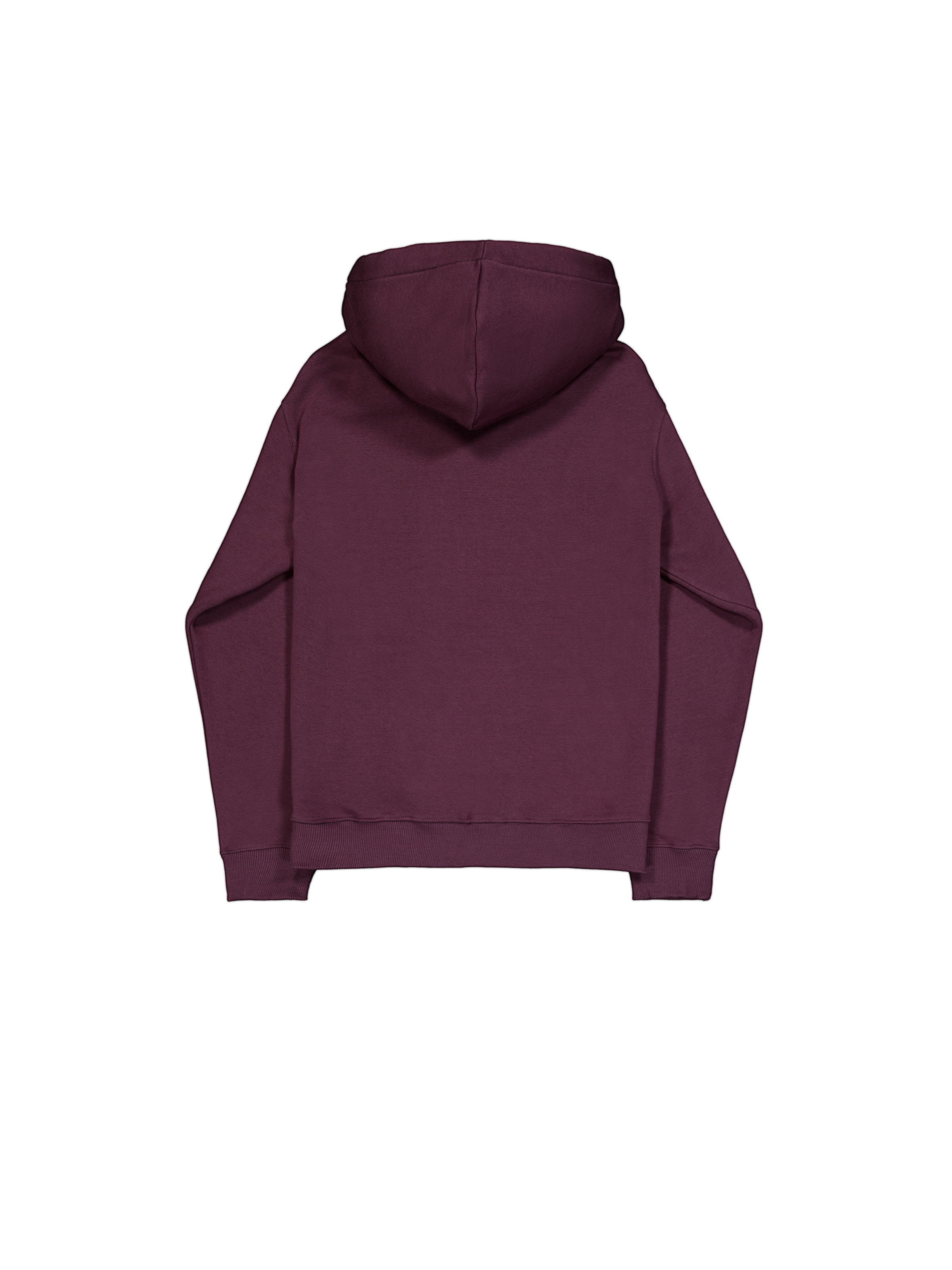 Alpha Puff Print Hoodie dark cherry 146338_608_1_flatlay_00002_163769