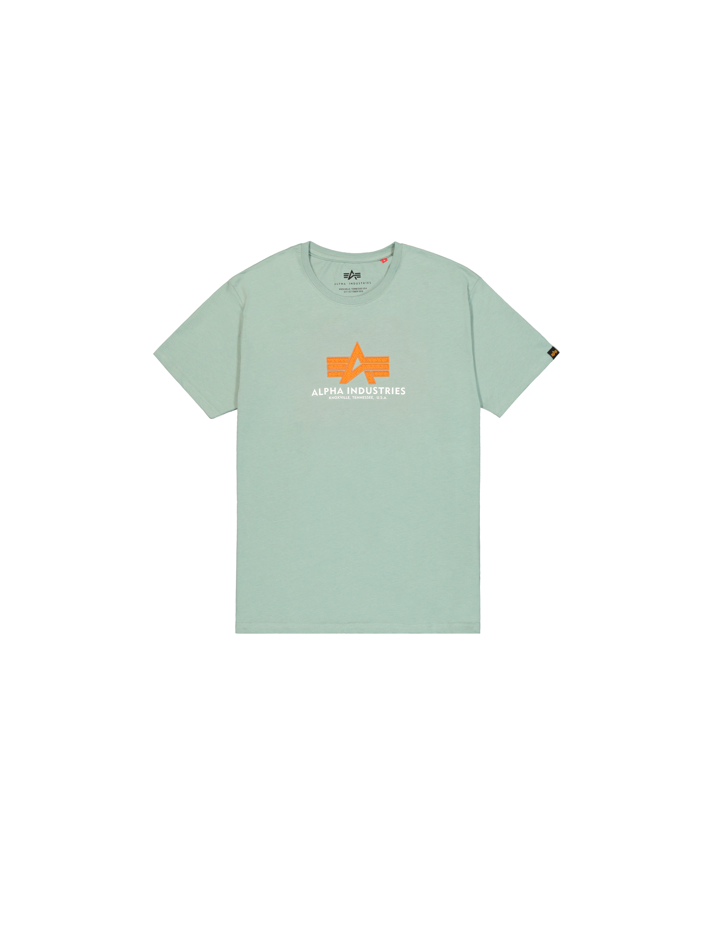 Basic Big Logo Rubber T-Shirt dusty green 100501RB_680_1_flatlay_00001_222728.png