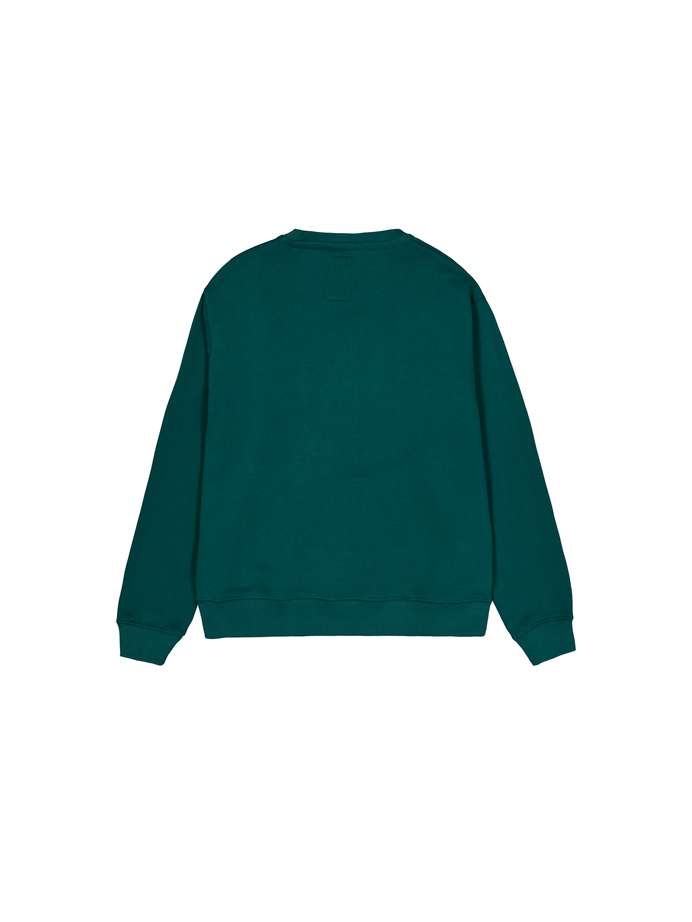 Basic Big Logo Sweatshirt Force Green 178302_720_1_flatlay_00002_97588