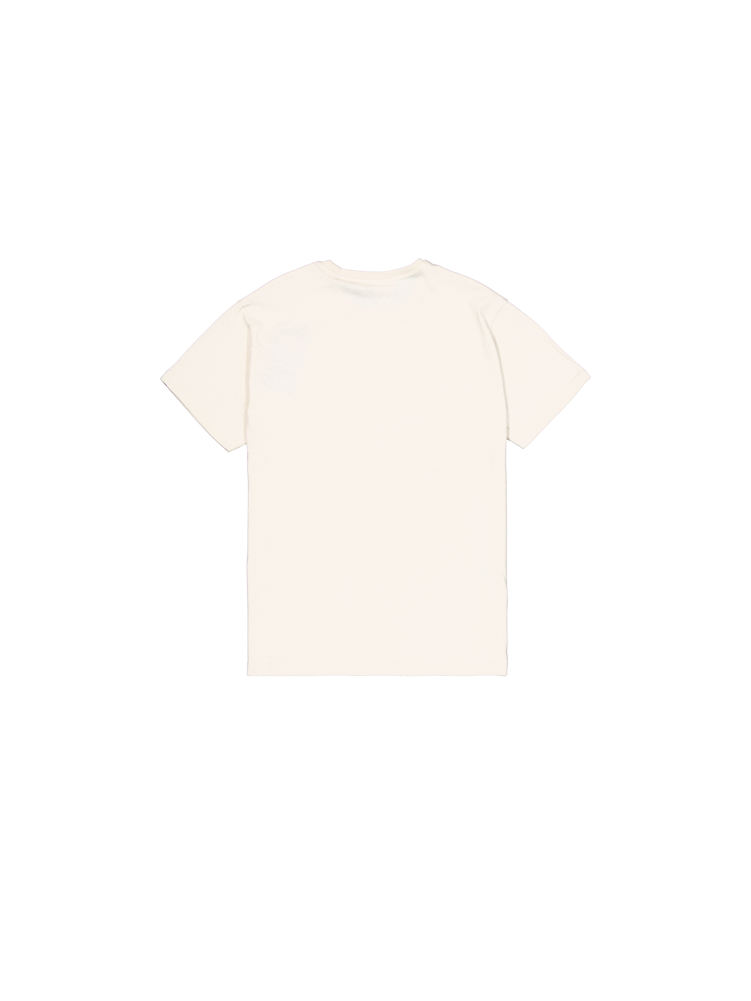 Alpha Puff Print T-Shirt vintage white 146509_300_1_flatlay_00002_118340