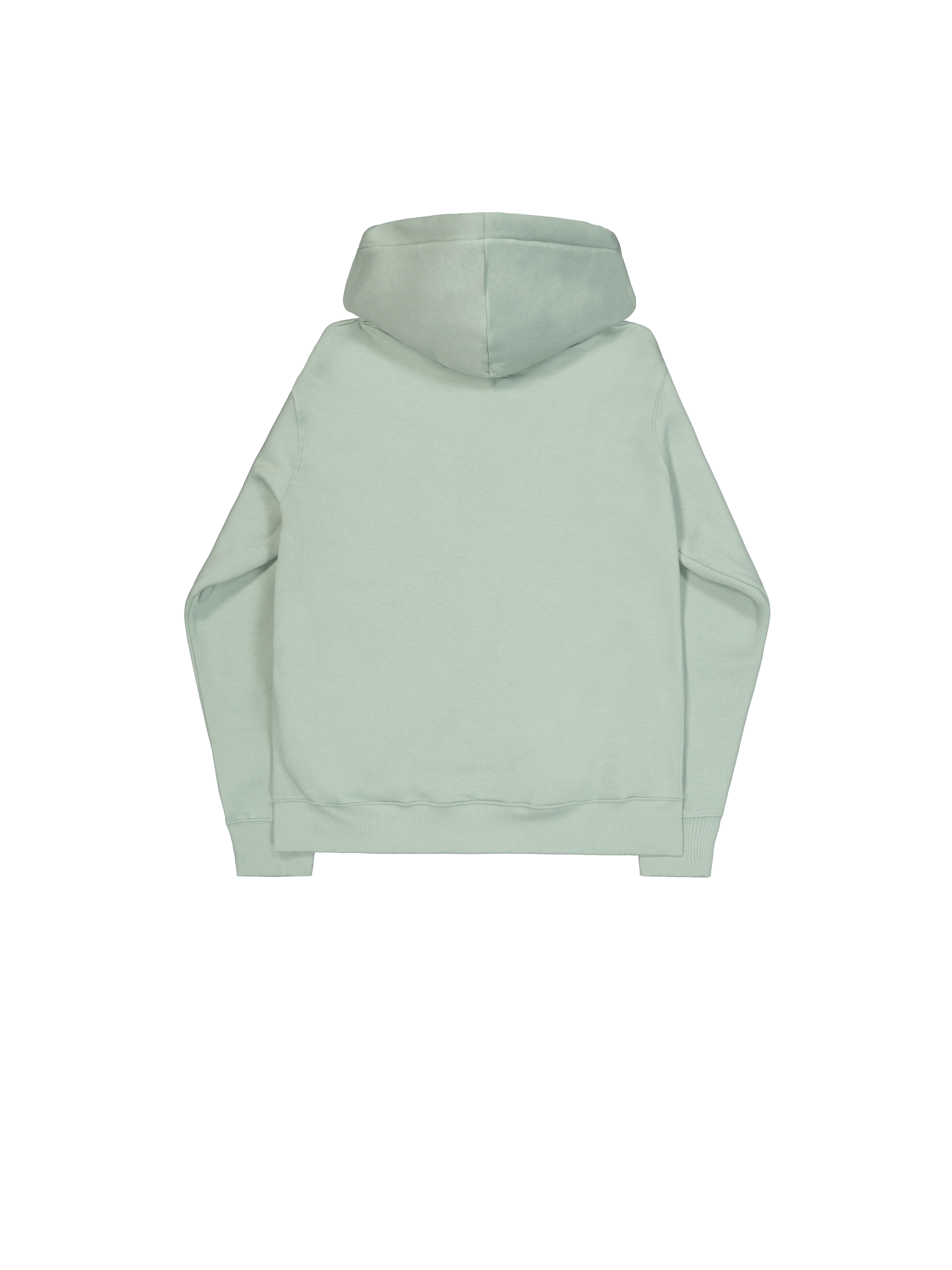 Basic Big Logo Rubber Hoodie dusty green 178312RB_680_1_flatlay_00002_221380