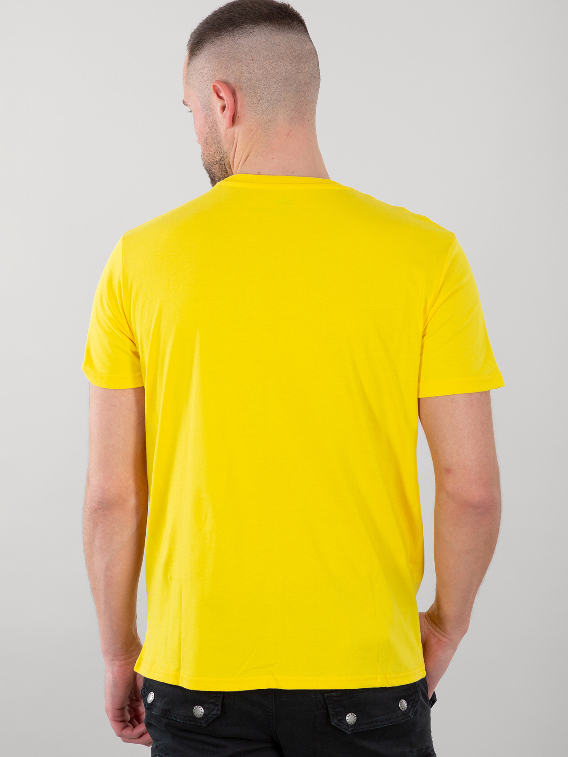 Basic Big Logo T-Shirt empire yellow 100501_465_alpha_industries_basic_t_shirt_002_182168