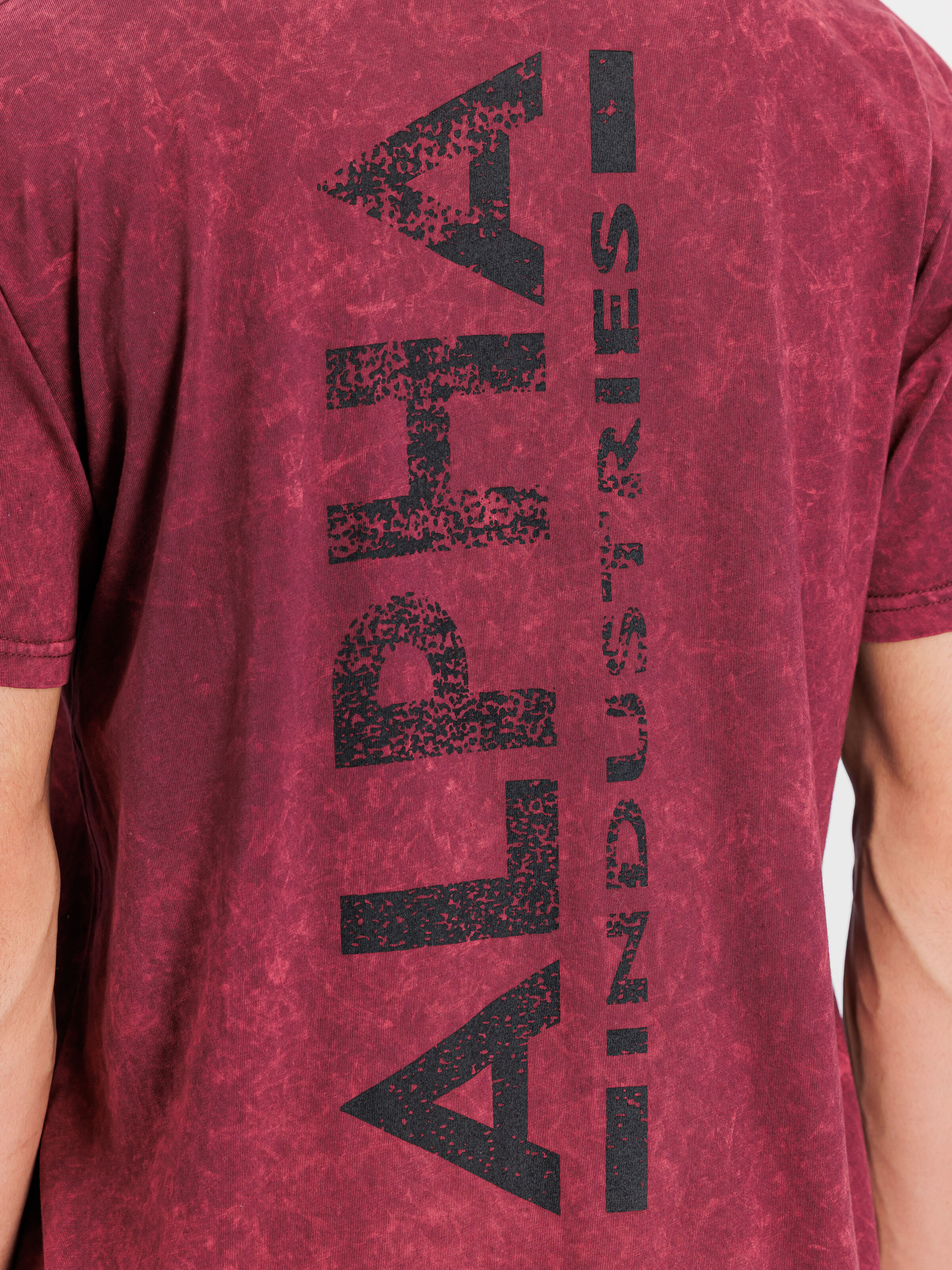 Vintage Backprint T-Shirt dark cherry 258508V_608_3_detail_00002_163376