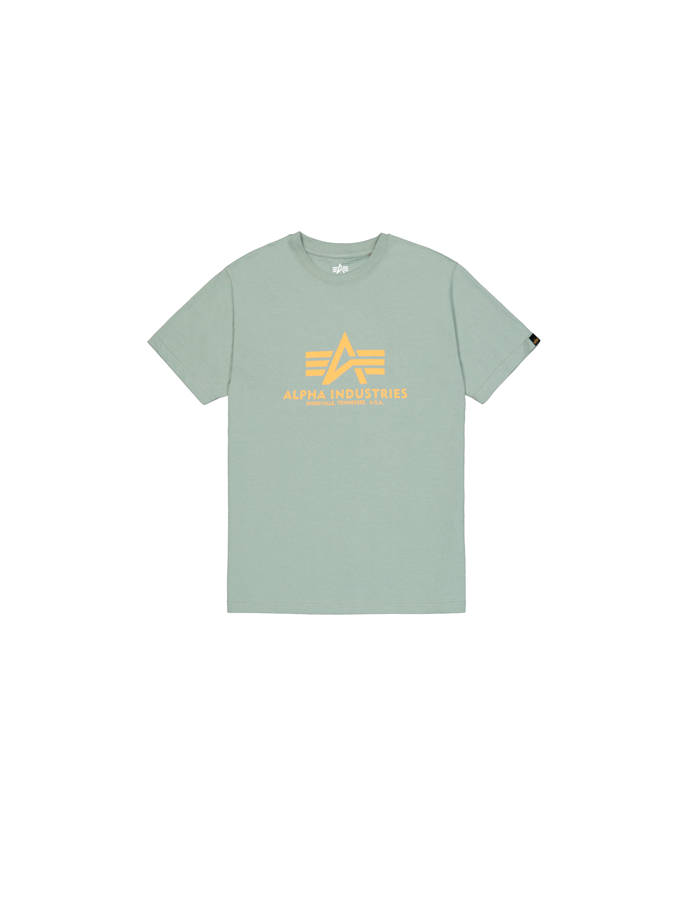 Basic Big Logo T-Shirt frost green 100501_30_1_flatlay_00001_174390.png