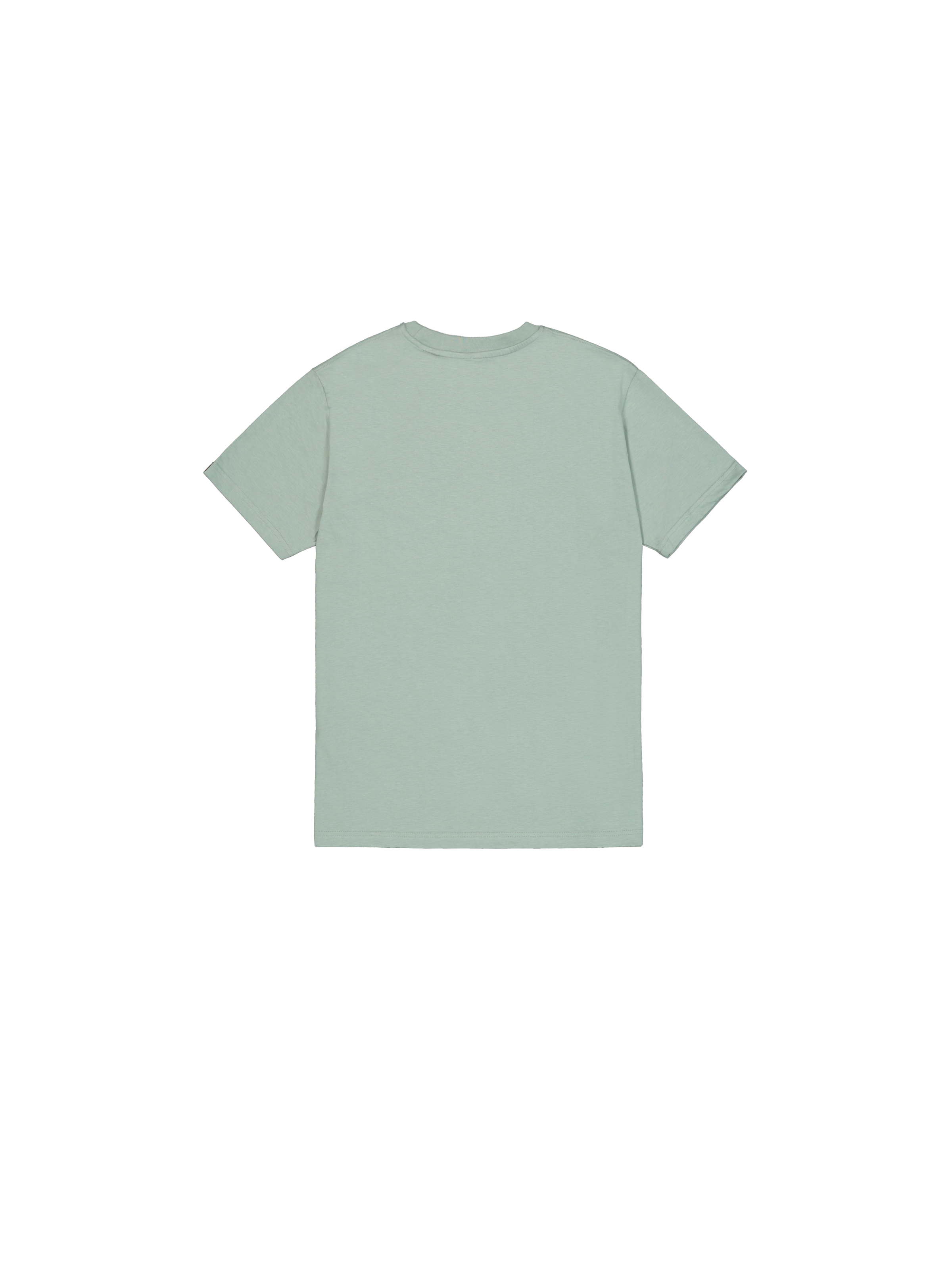 Basic Big Logo T-Shirt frost green 100501_30_1_flatlay_00002_174391