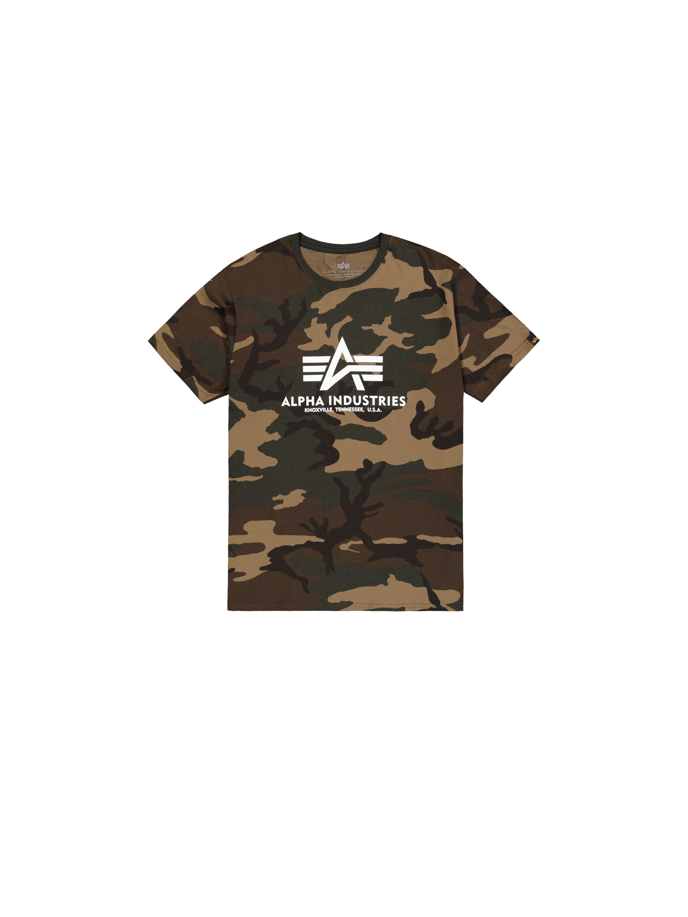 Basic Big Logo Camo T-Shirt wdl camo 65 100501C_408_1_flatlay_00001_195700.png