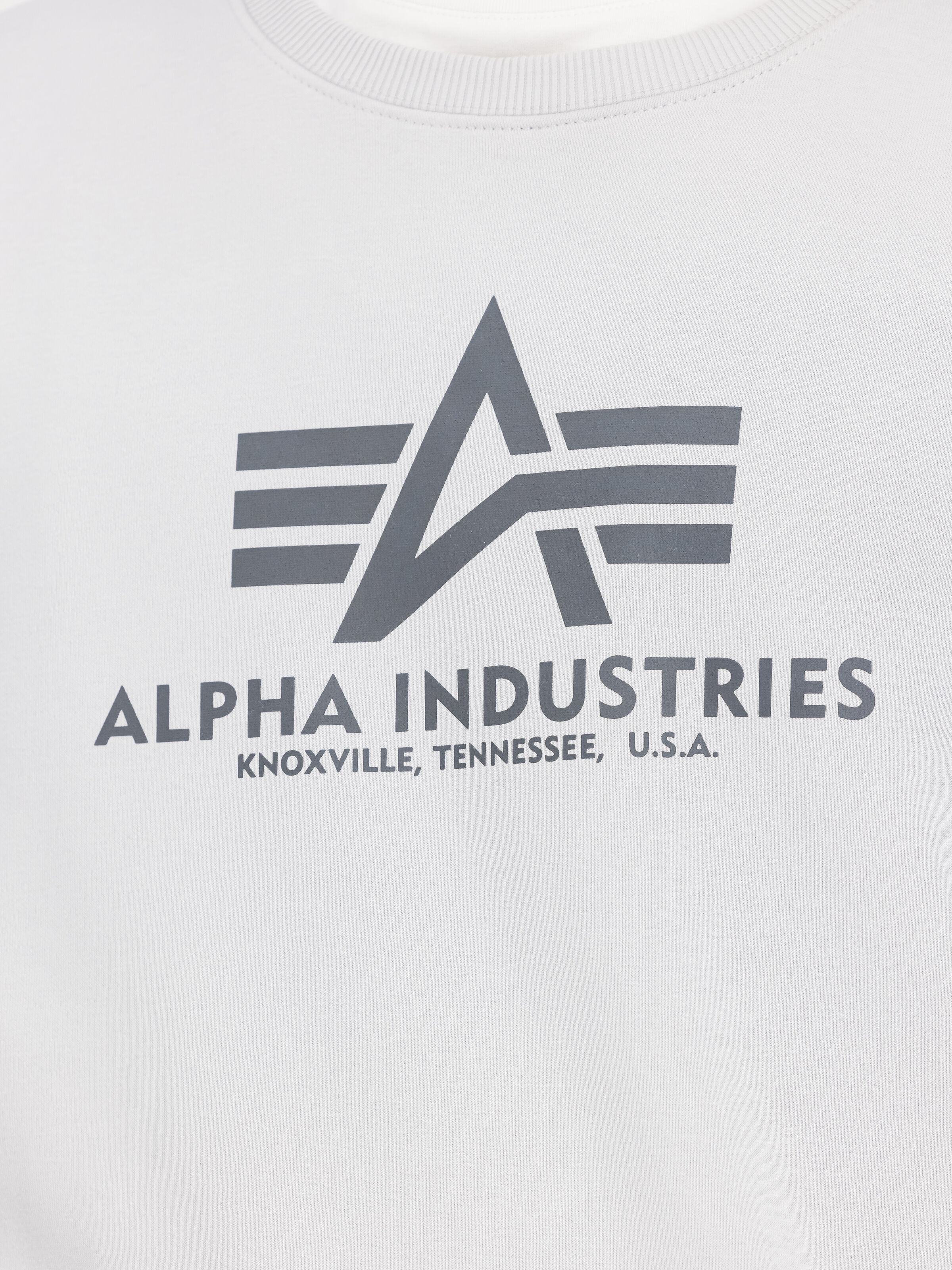 Basic Big Logo Sweatshirt pastel grey 178302_666_3_detail_00001_122517