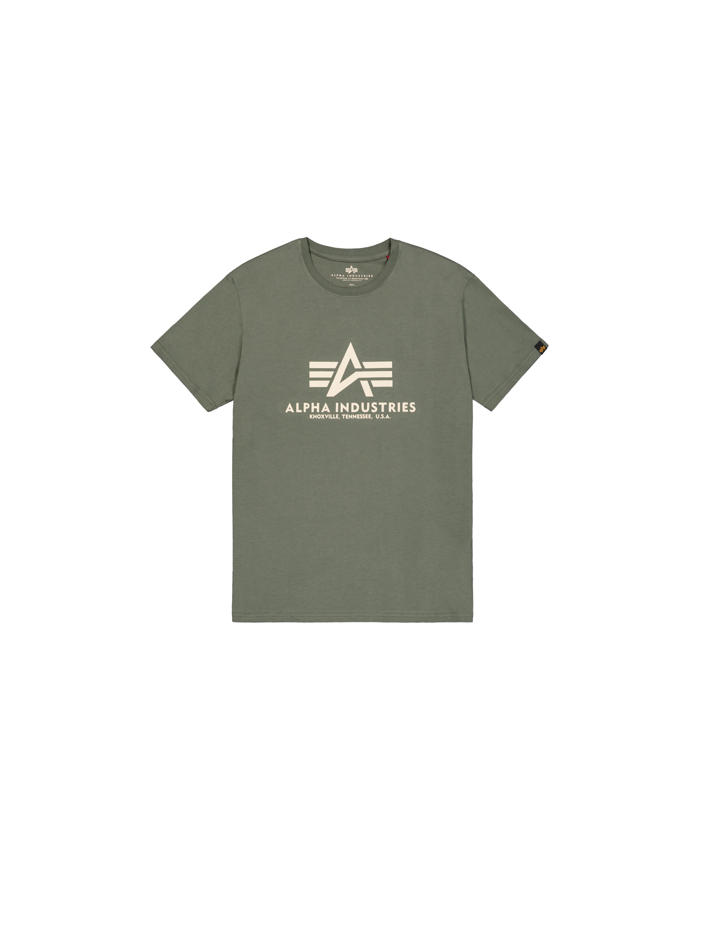 Basic Big Logo T-Shirt vintage green 100501_432_1_flatlay_00001_185996.png