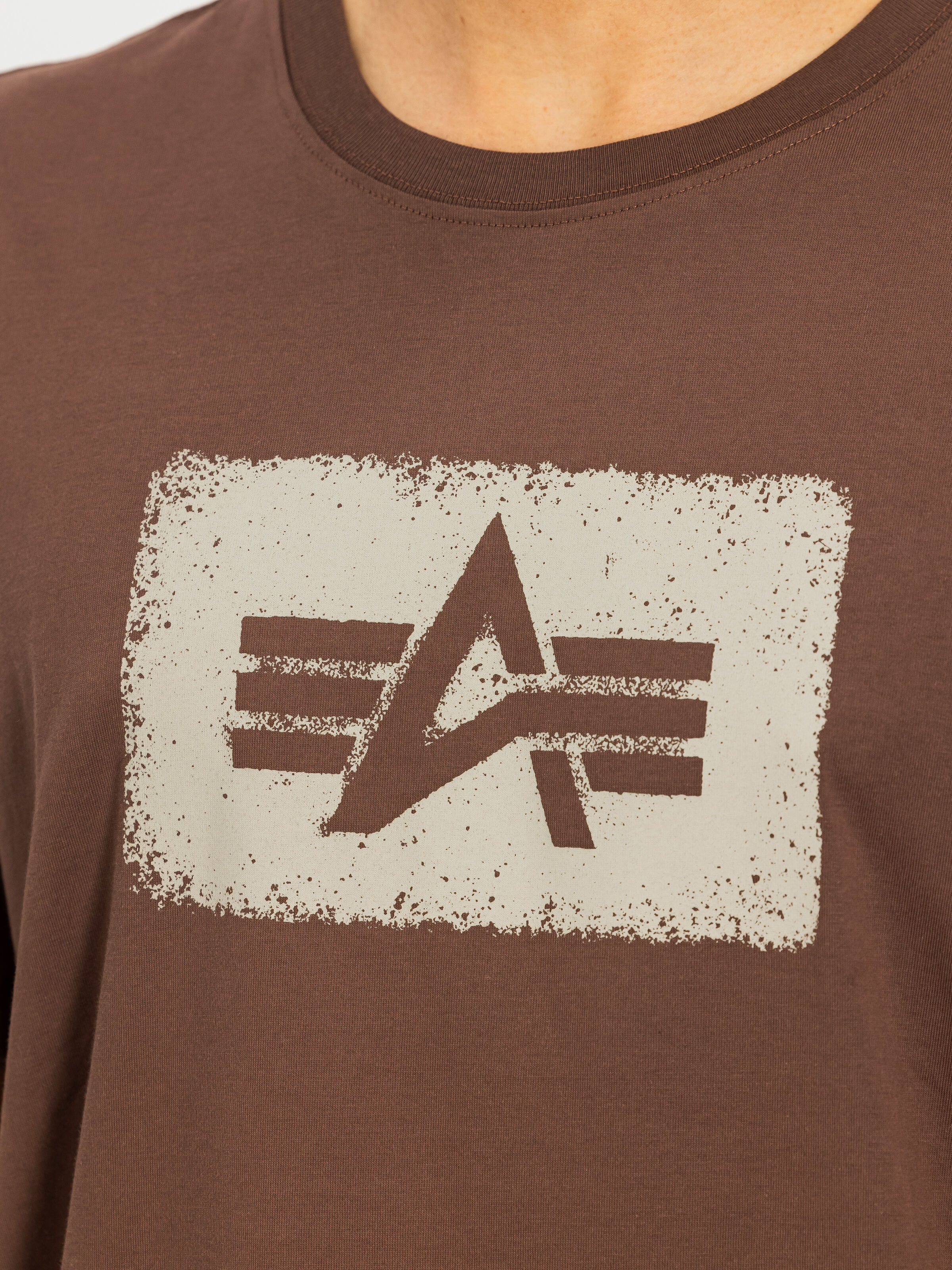 Washed Out Logo T-Shirt powder brown 268512_204_3_detail_00001_235673