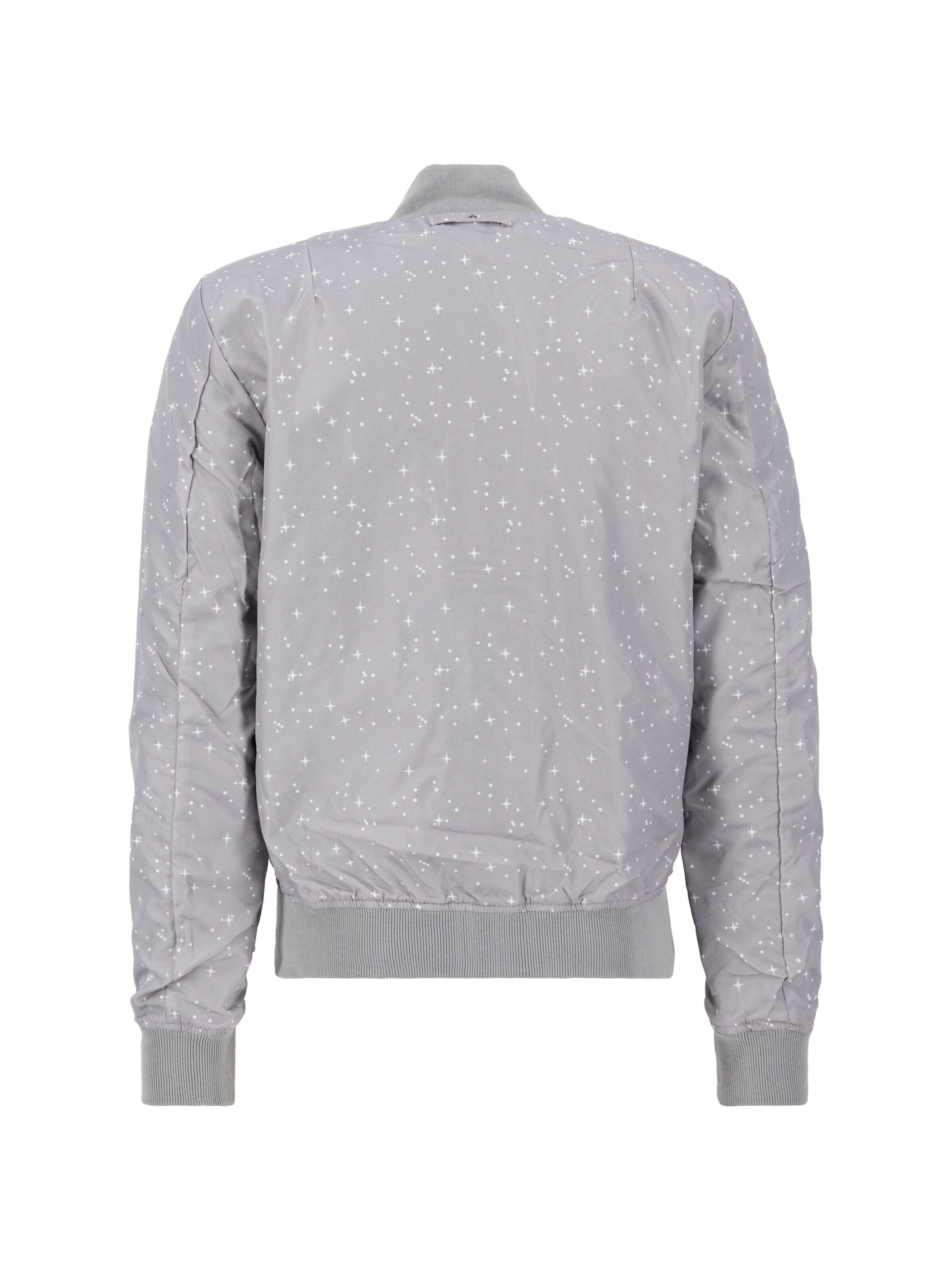 MA-1 TT Two Tone NASA Reversible II Bomber Jacket silver 186101_31_004_182183