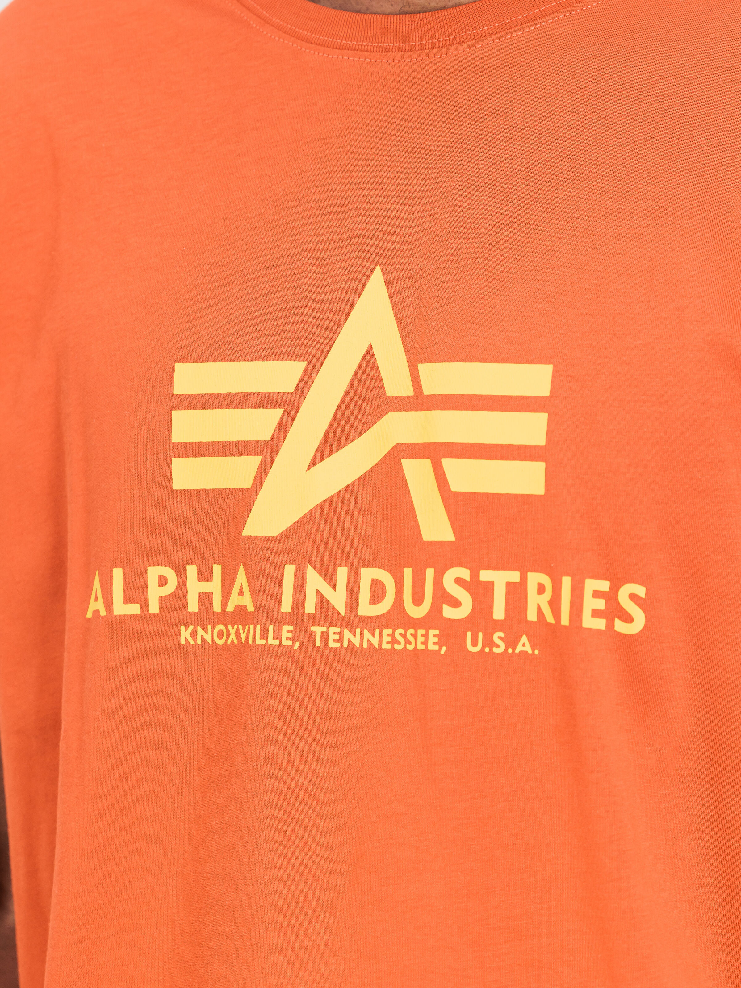 Basic Big Logo T-Shirt iron red 100501_639_3_detail_00001_226439