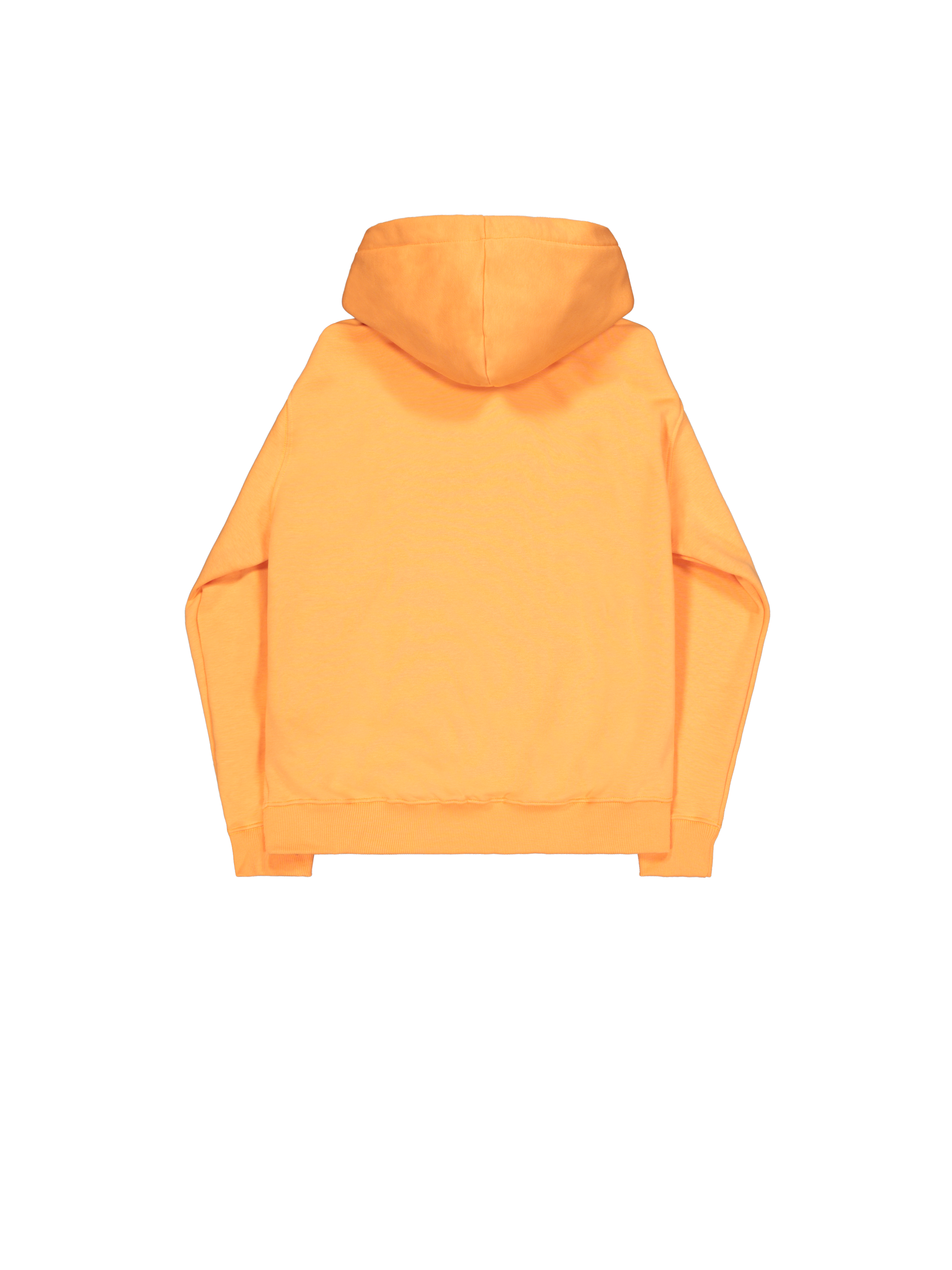 Alpha Puff Print Hoodie tangerine 146338_710_1_flatlay_00002_198202