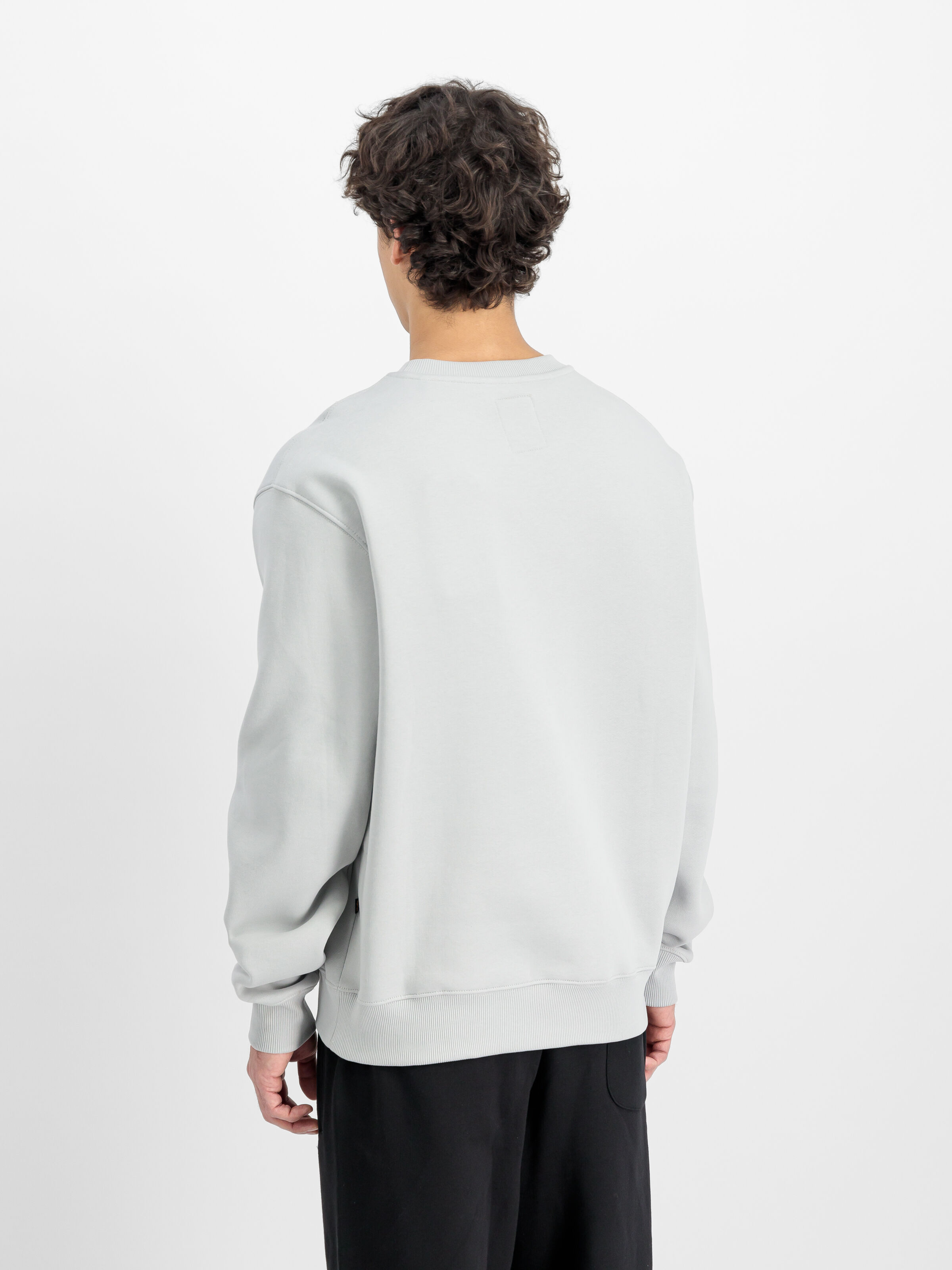 Studio Edition Vibe Sweatshirt pastel grey 156303_666_2_model_00004_139900